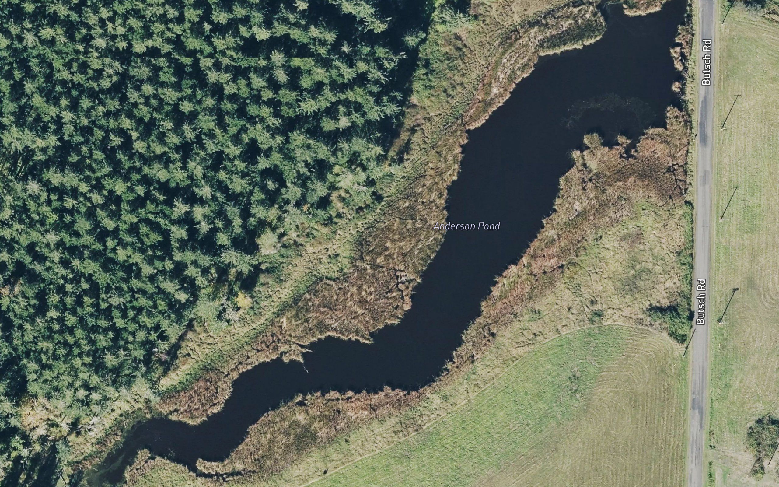 Anderson Pond