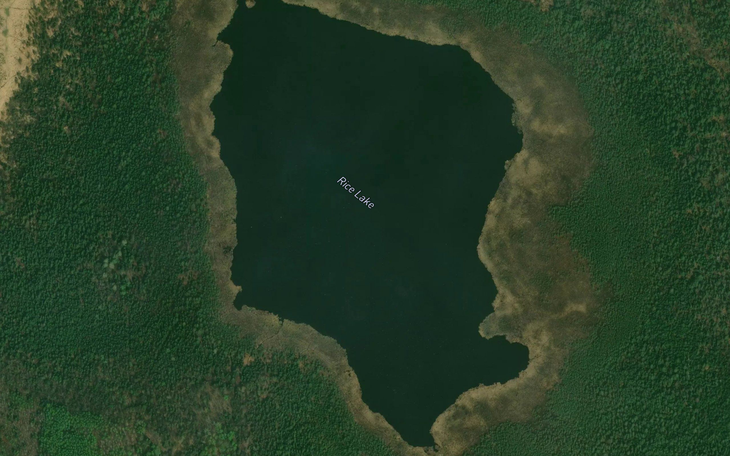 Rice Lake