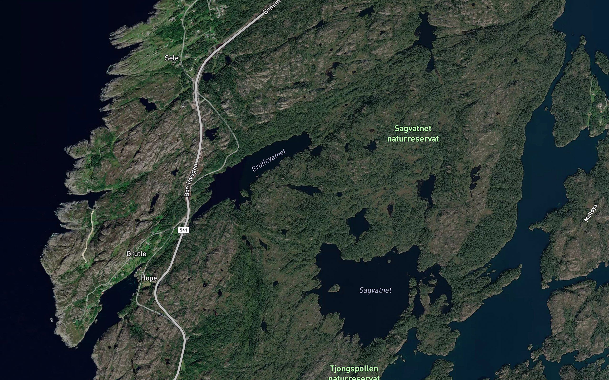 Stemmevatnert