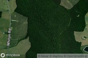 Tilghman Mill Branch