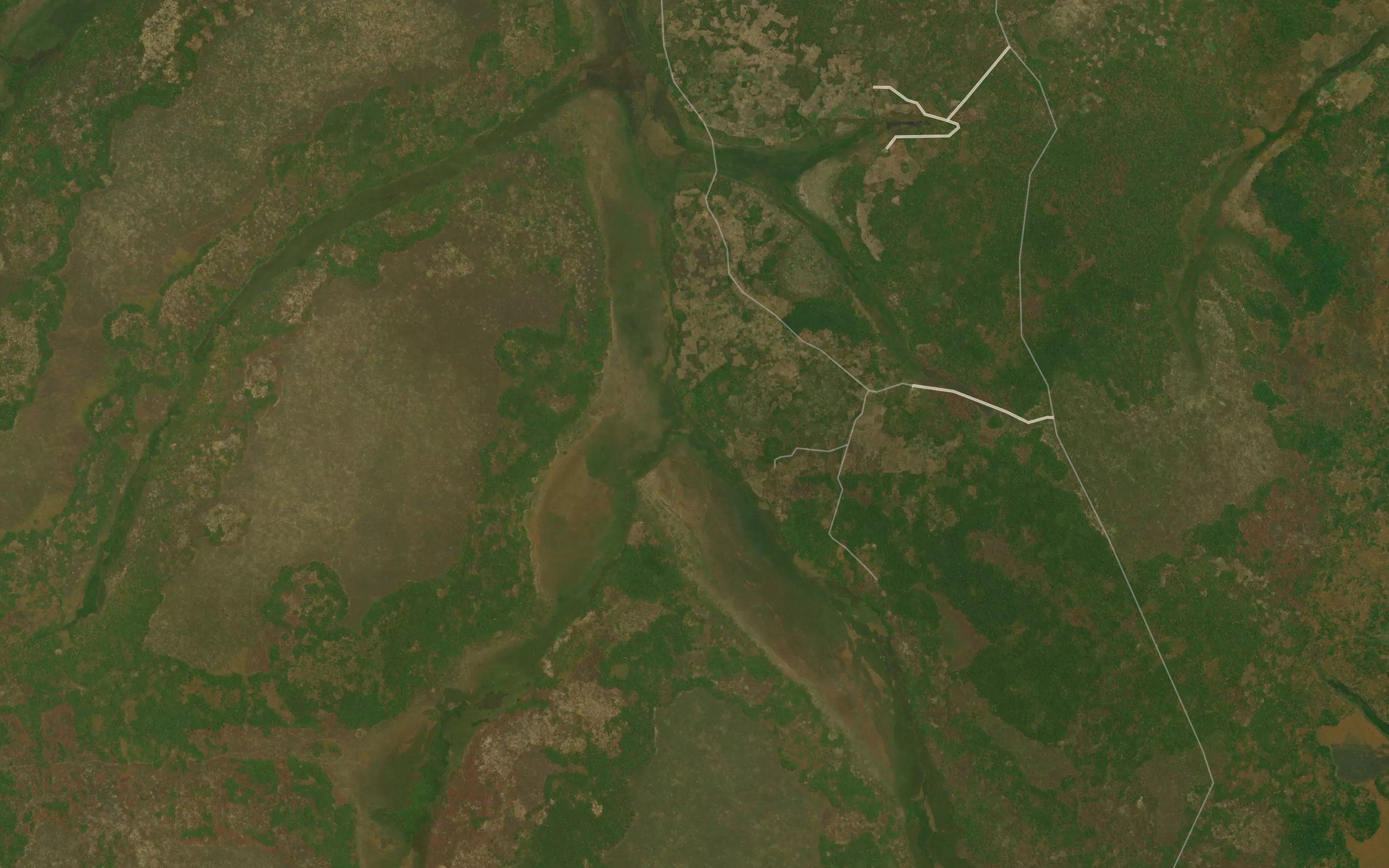 Cacumbi