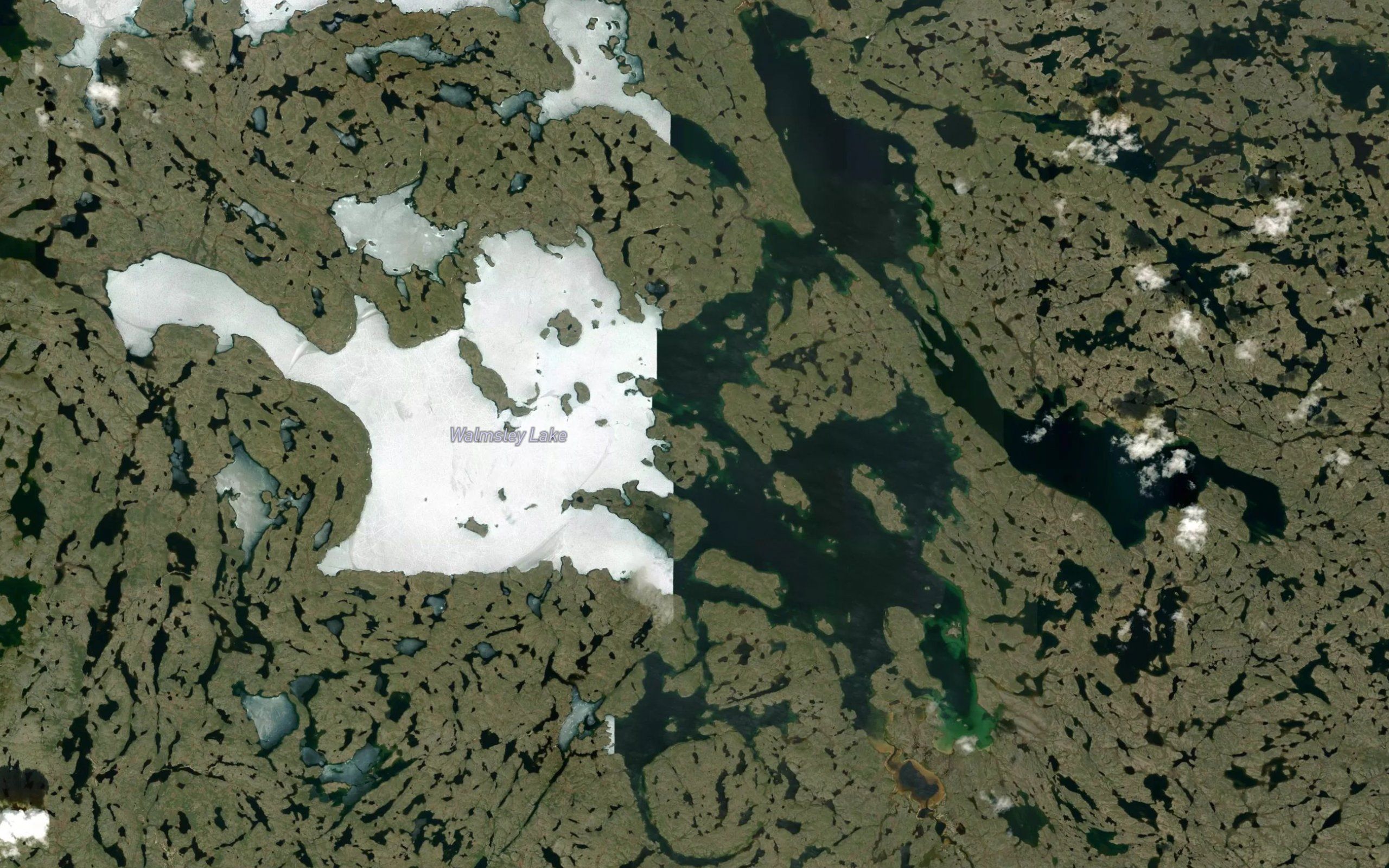 Walmsley Lake