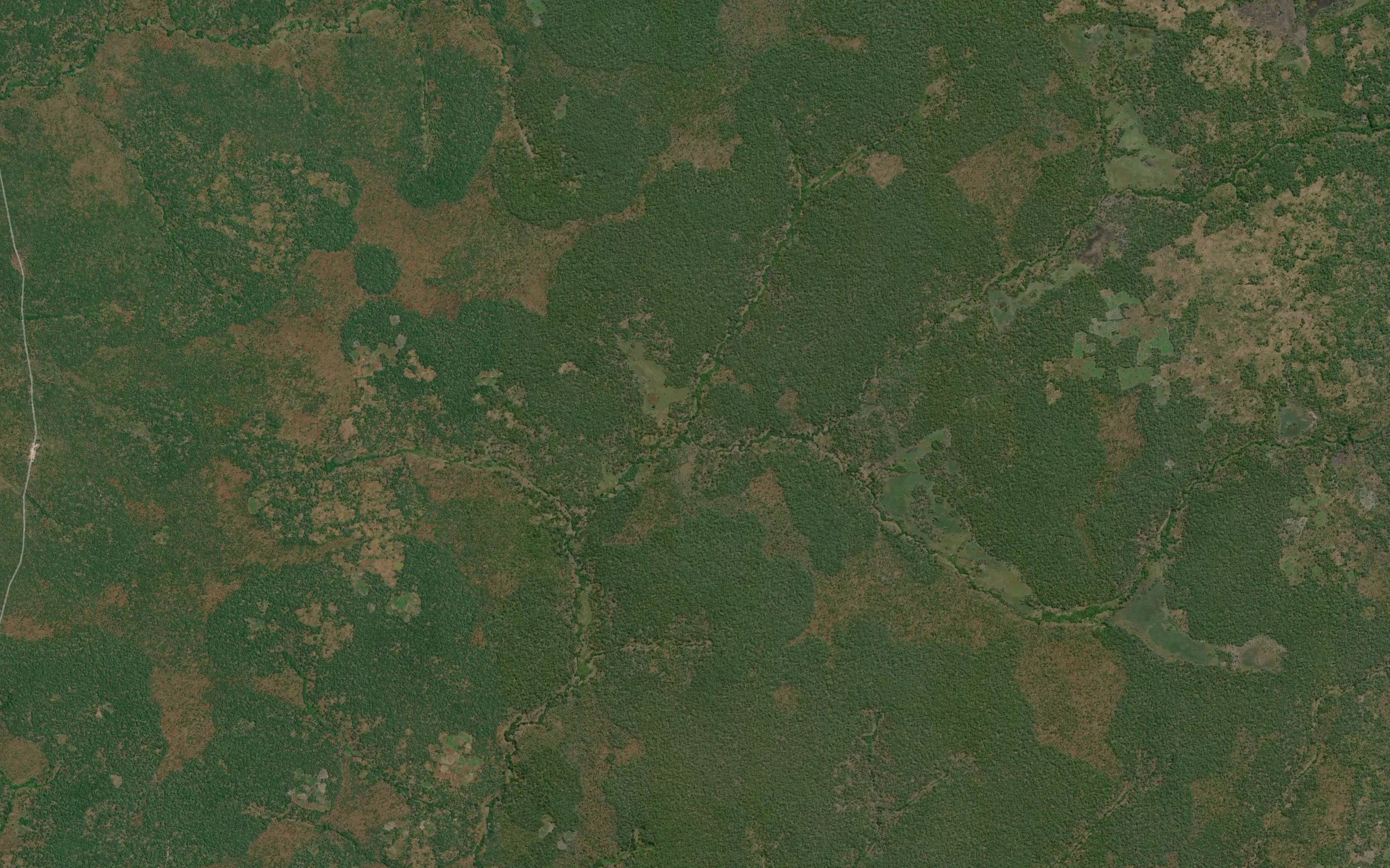 Kapongela