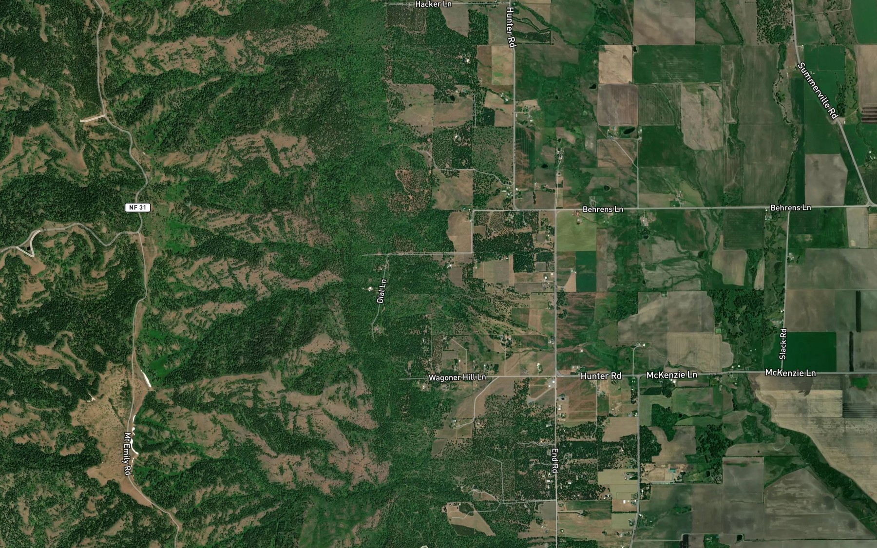 Satellite map of the Mint Spring