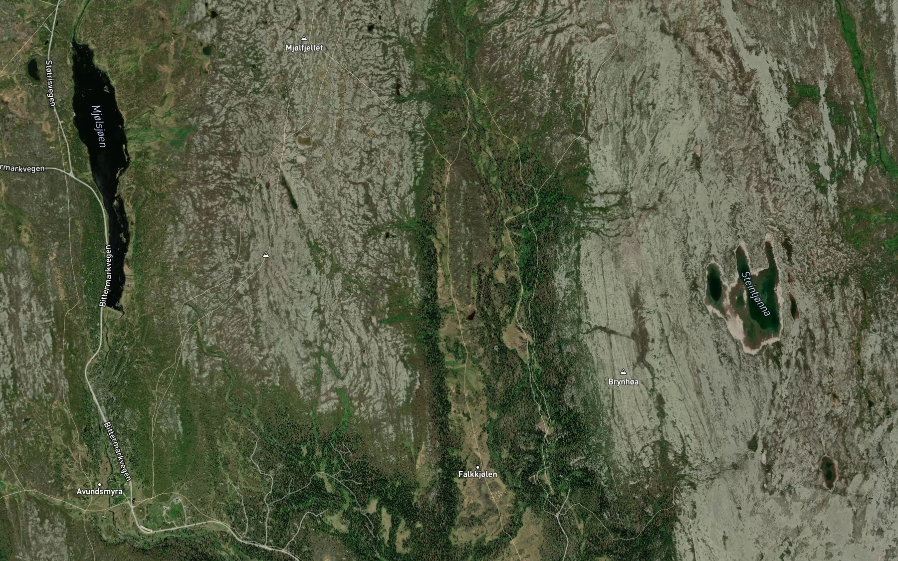 Satellite map of the Falkbekken