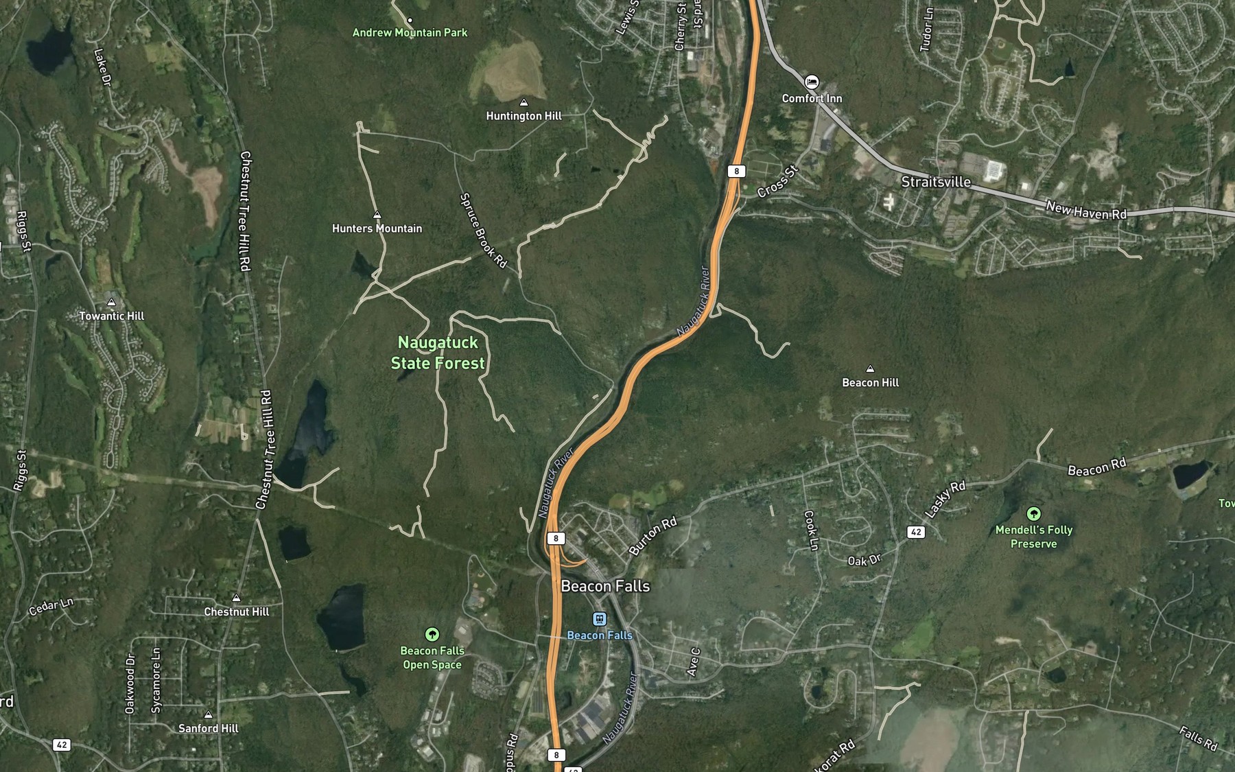 Satellite map of the Spruce Brook