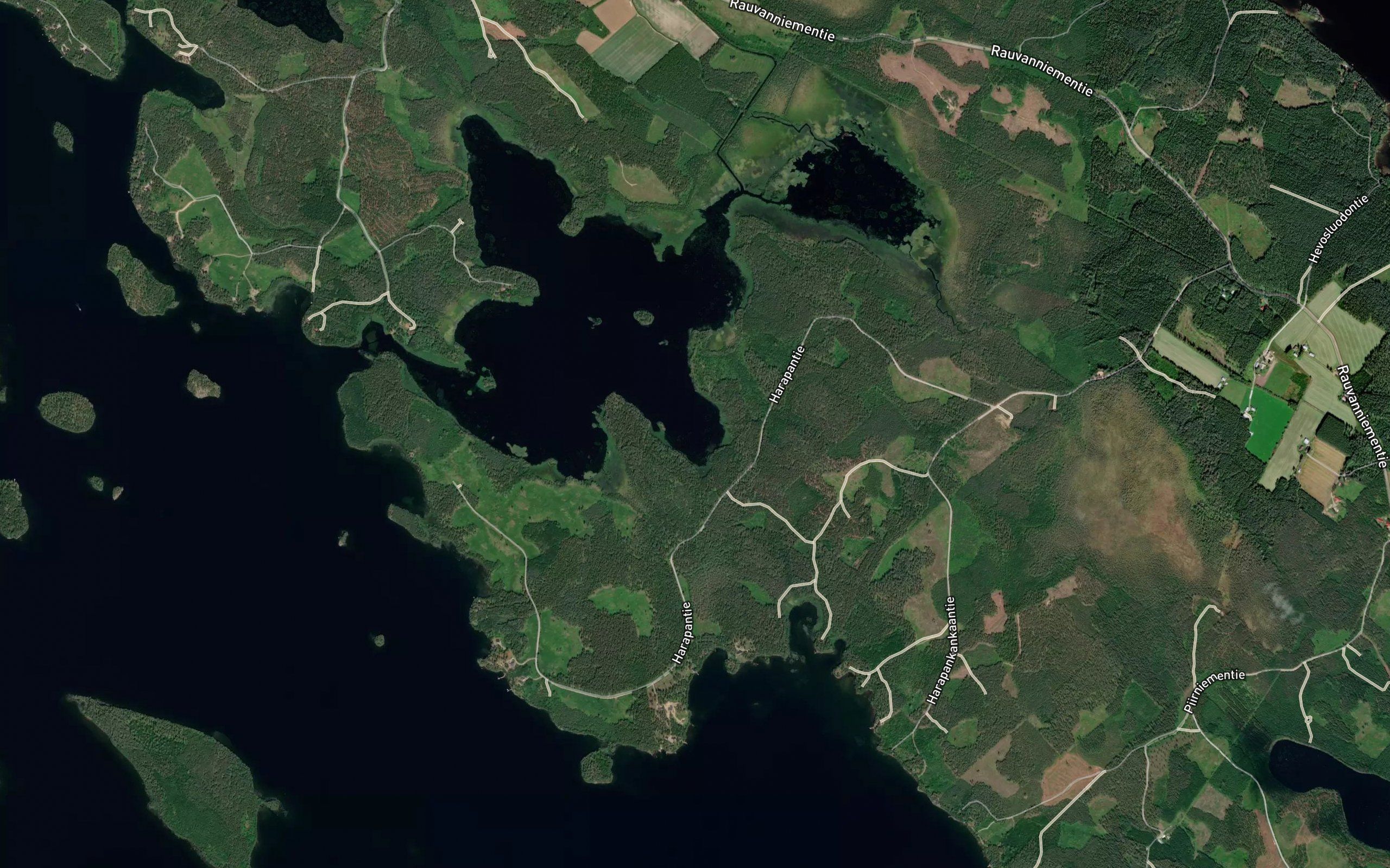 Pitkalahti