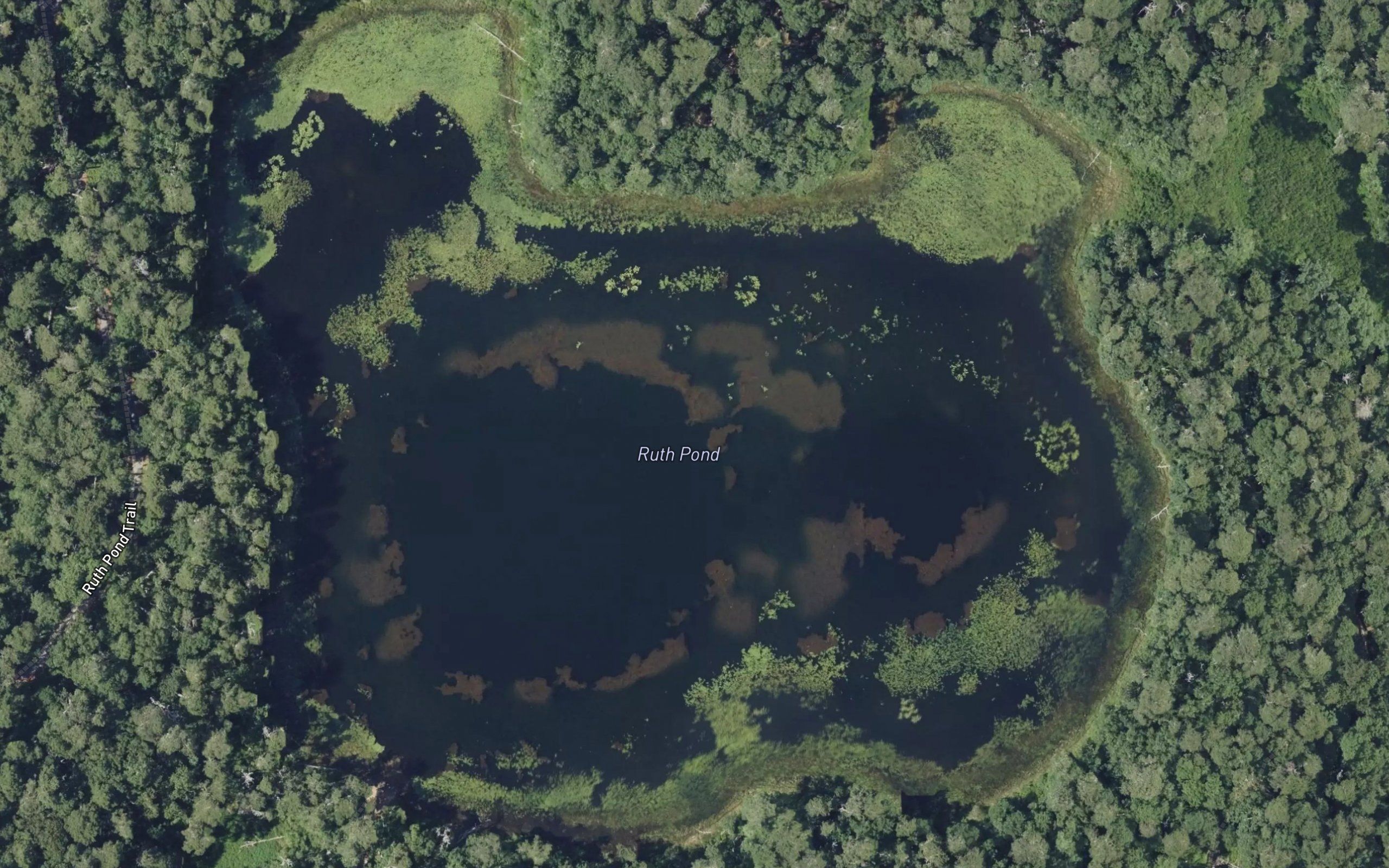 Ruth Pond
