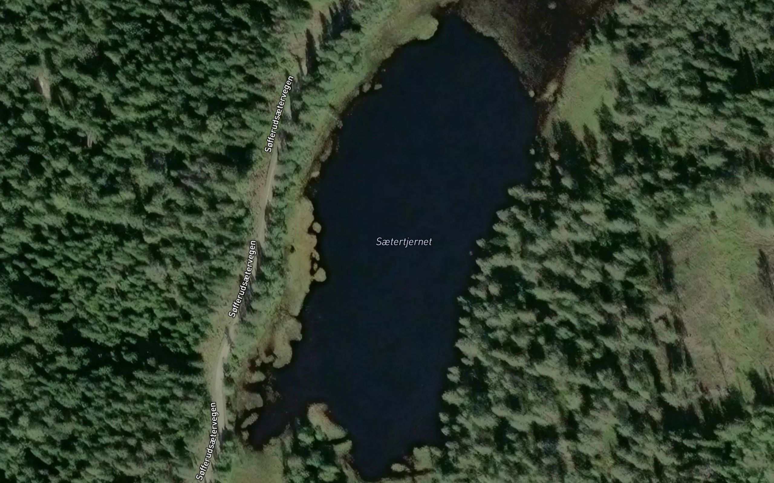 Lomsdalsaetertjenn