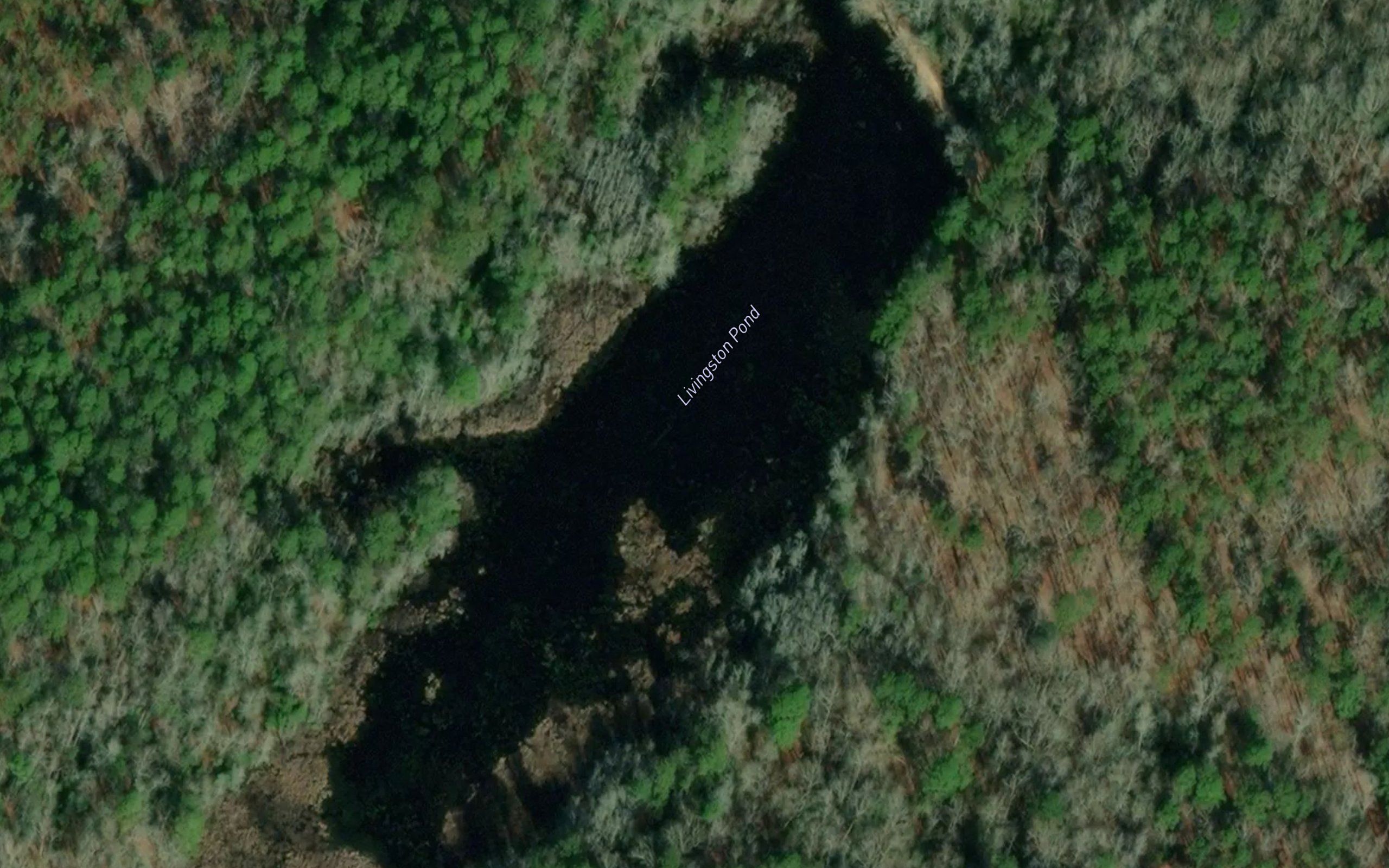 Livingston Pond