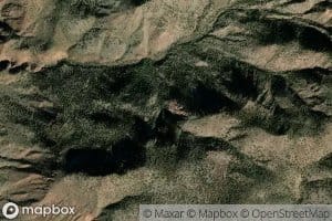 Yellow Jacket Spring