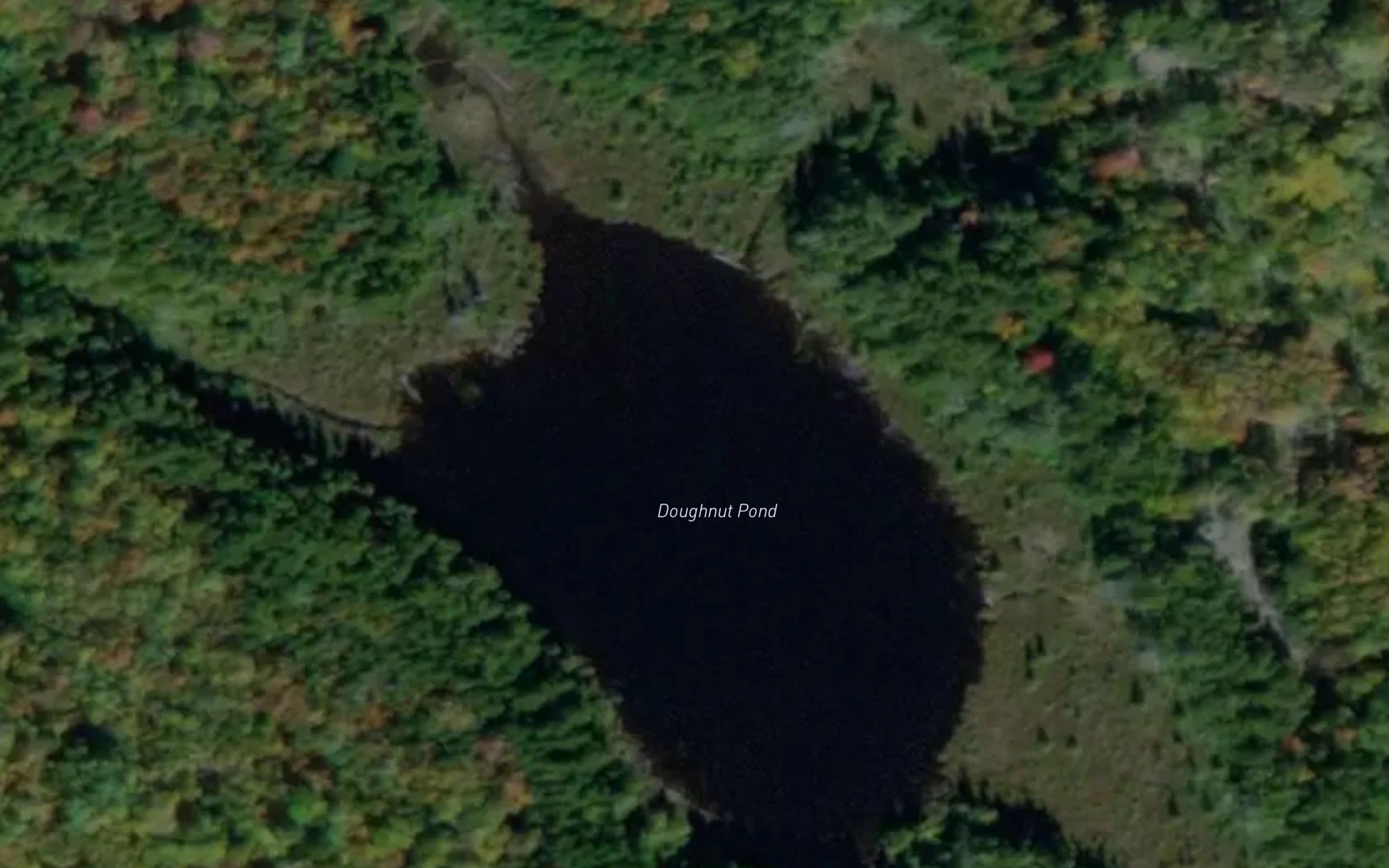 Doughnut Pond