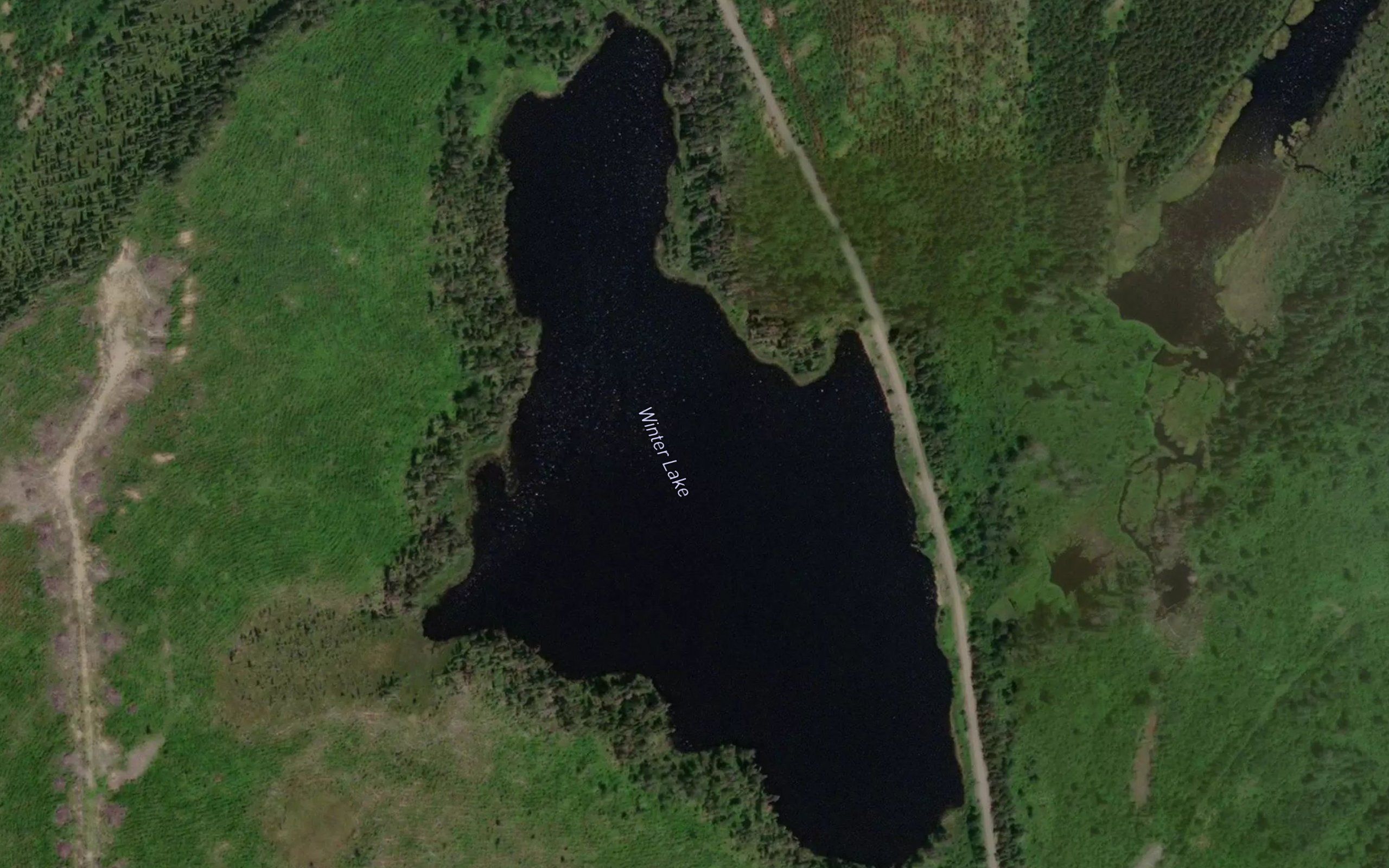 Winter Lake