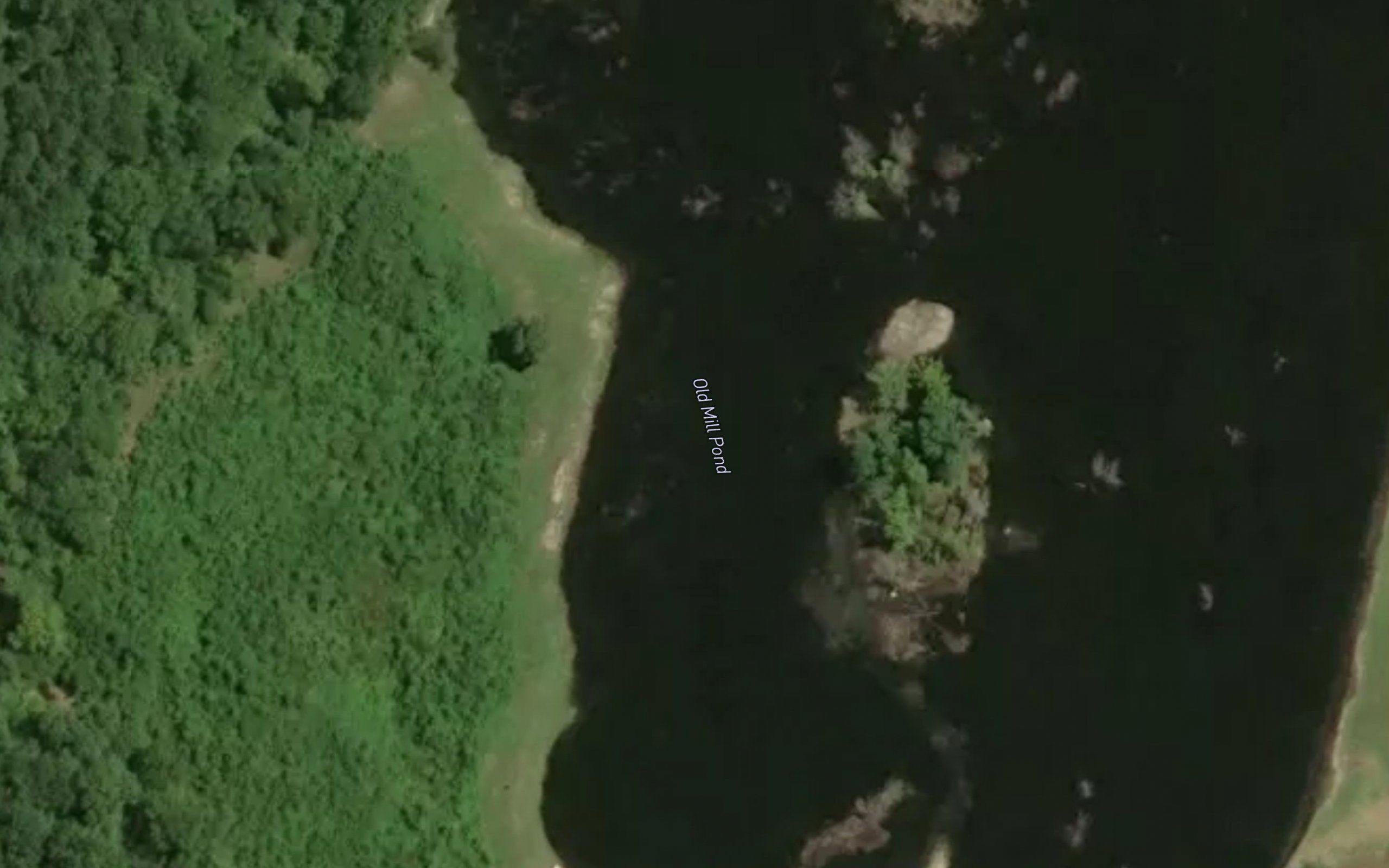 Old Mill Pond