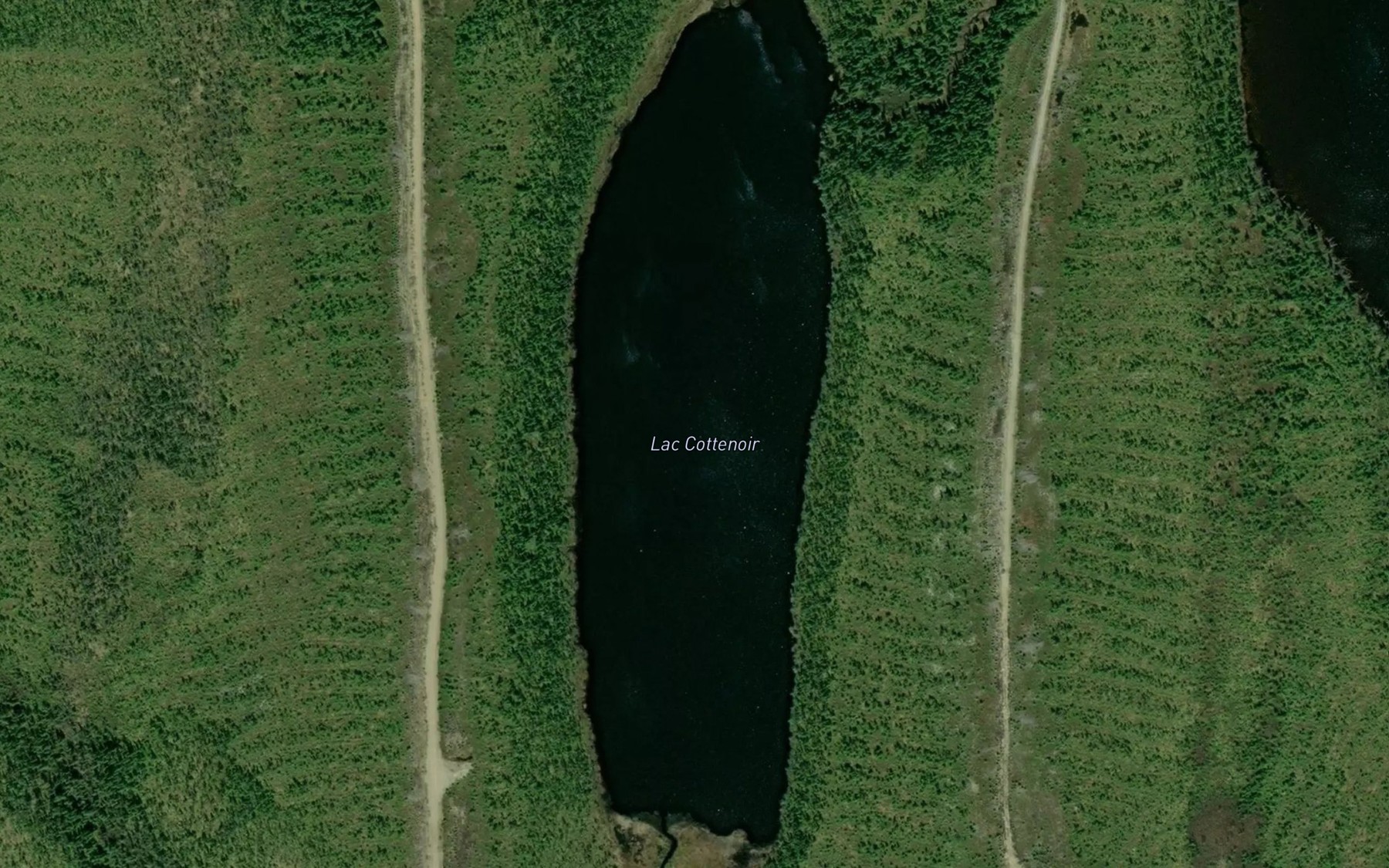 Satellite map of the Lac Cottenoir