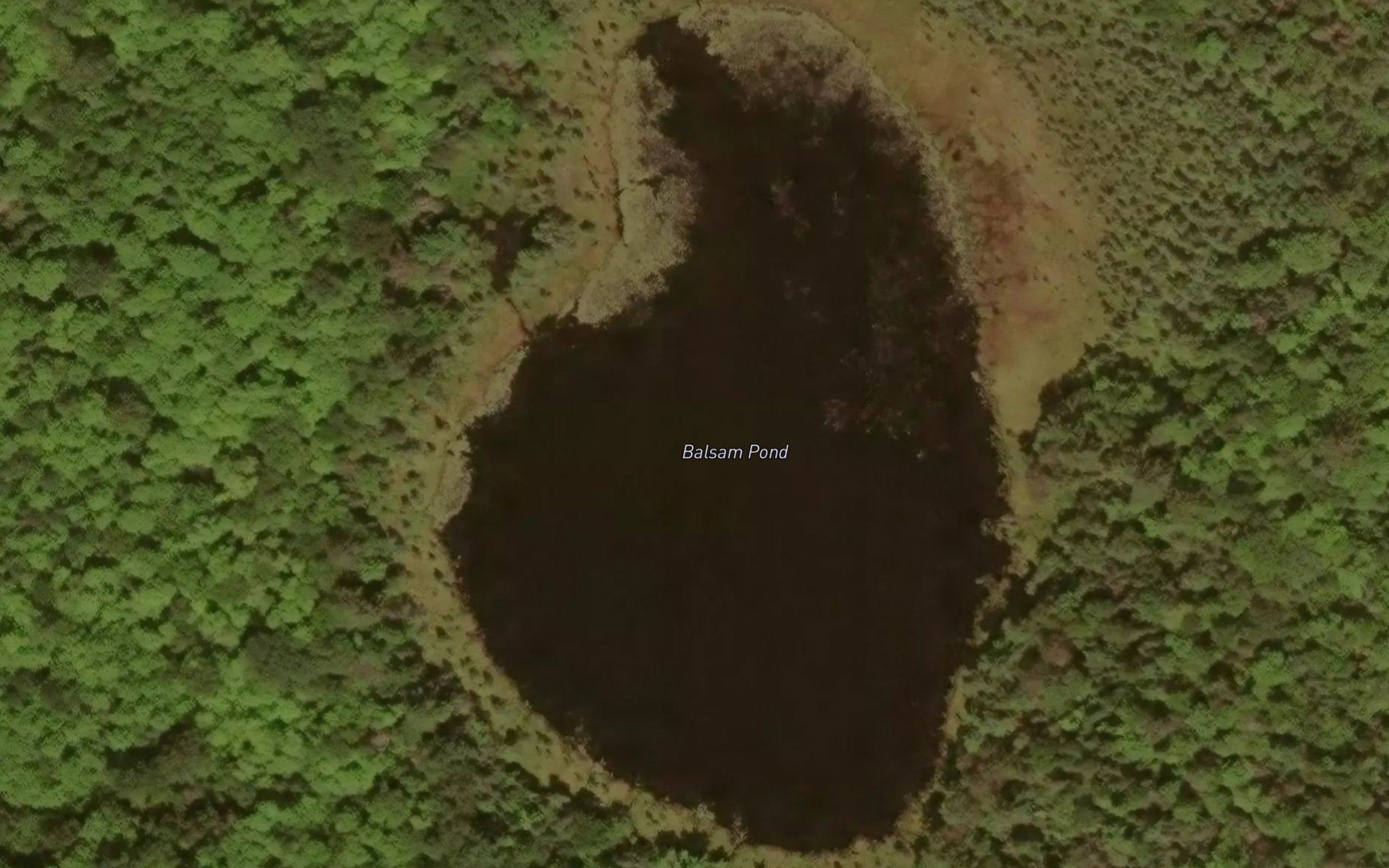 Balsam Pond