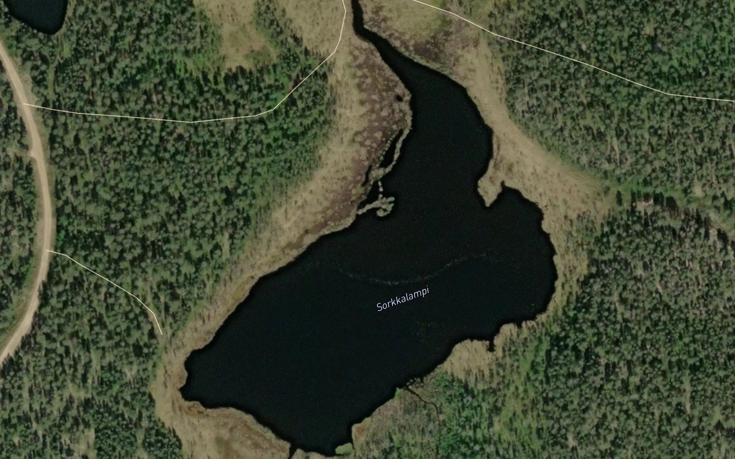 Sorkkalampi