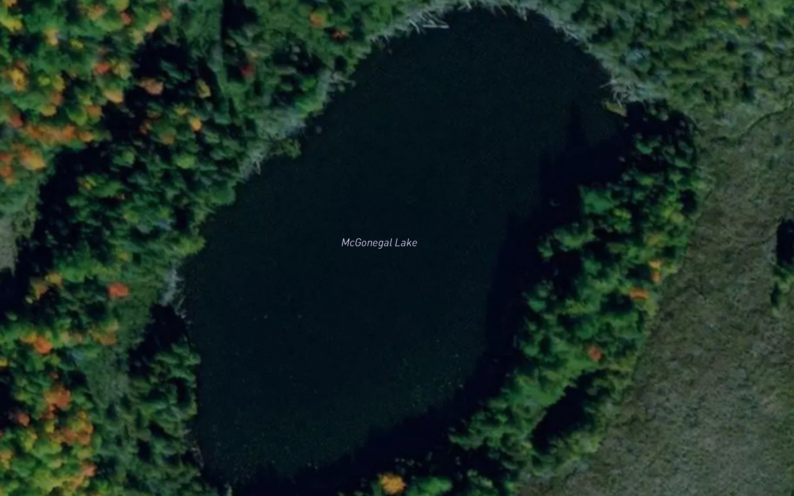 McGonegal Lake