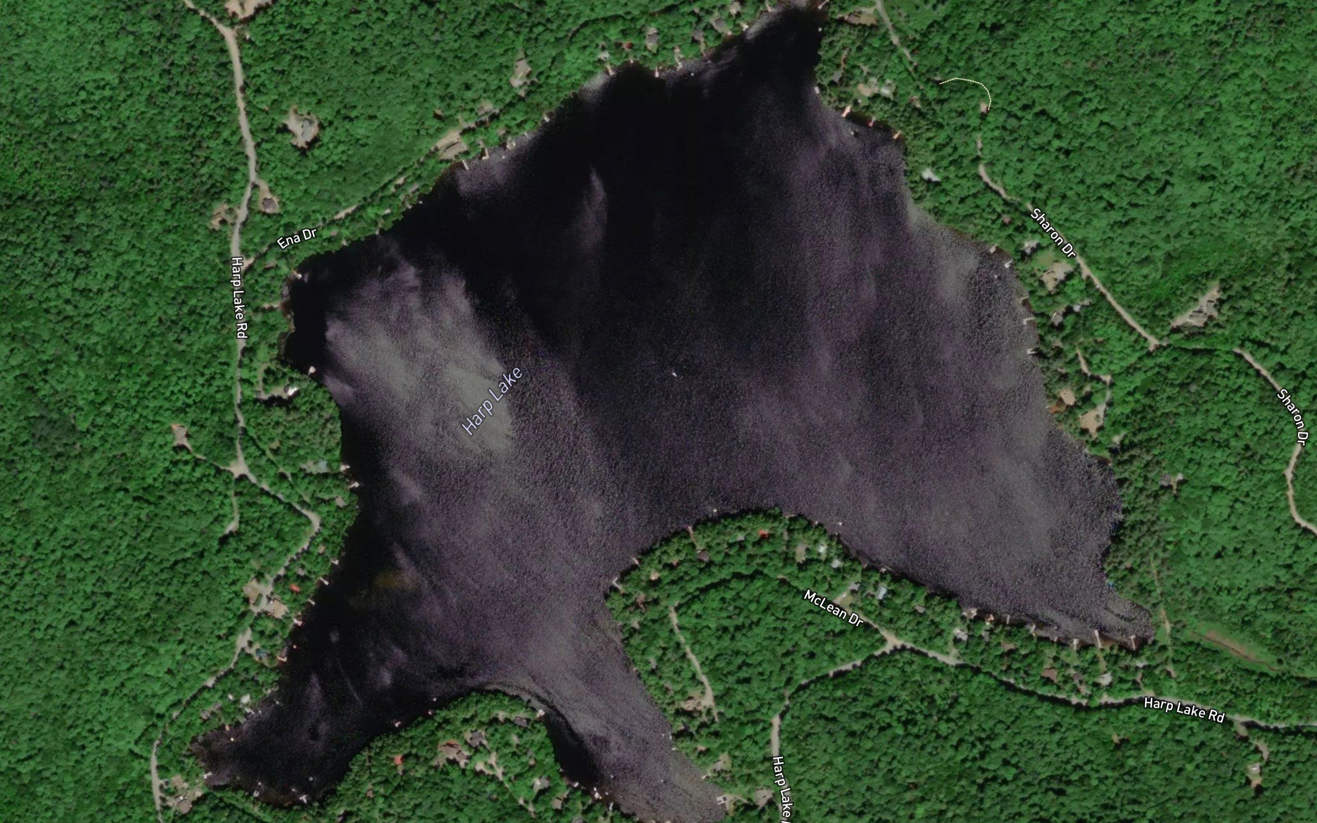 Harp Lake