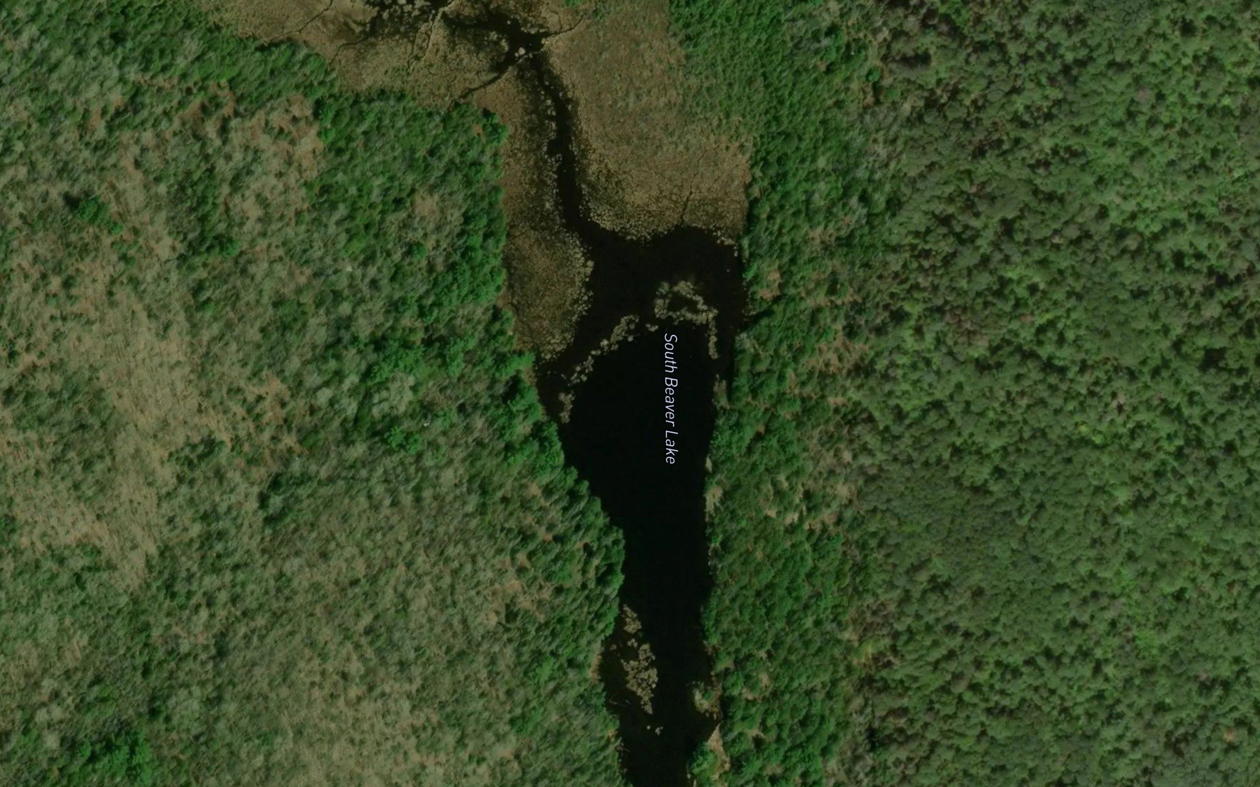 South Beaver Lake