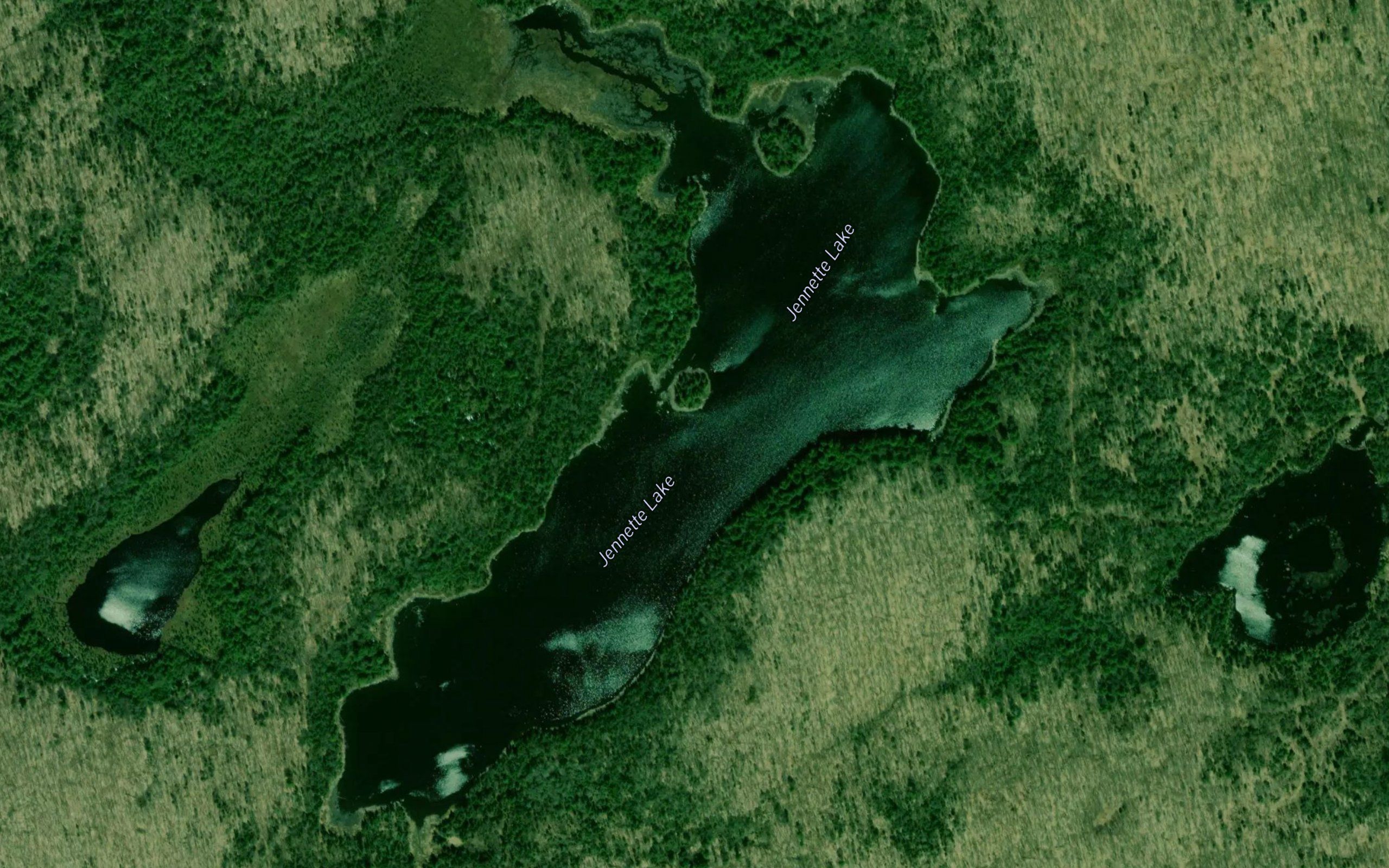 Jennette Lake