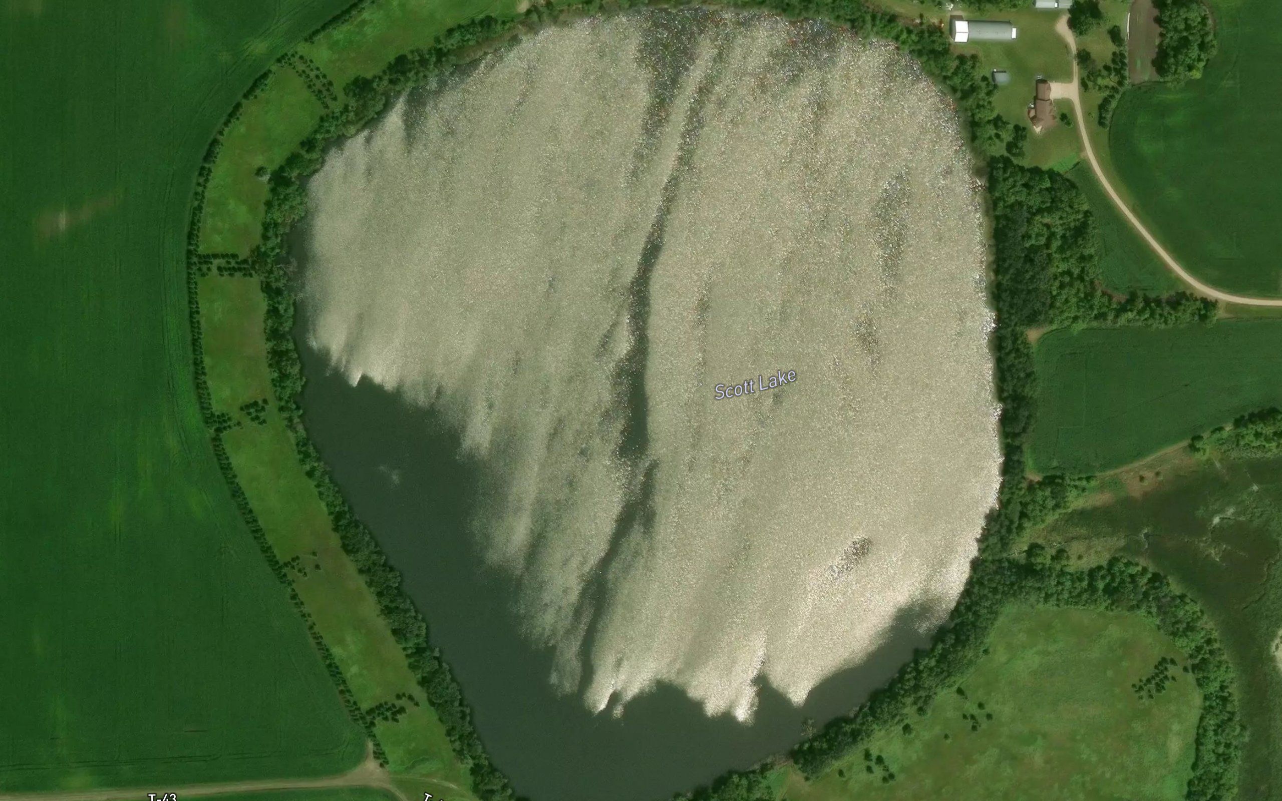Scott Lake