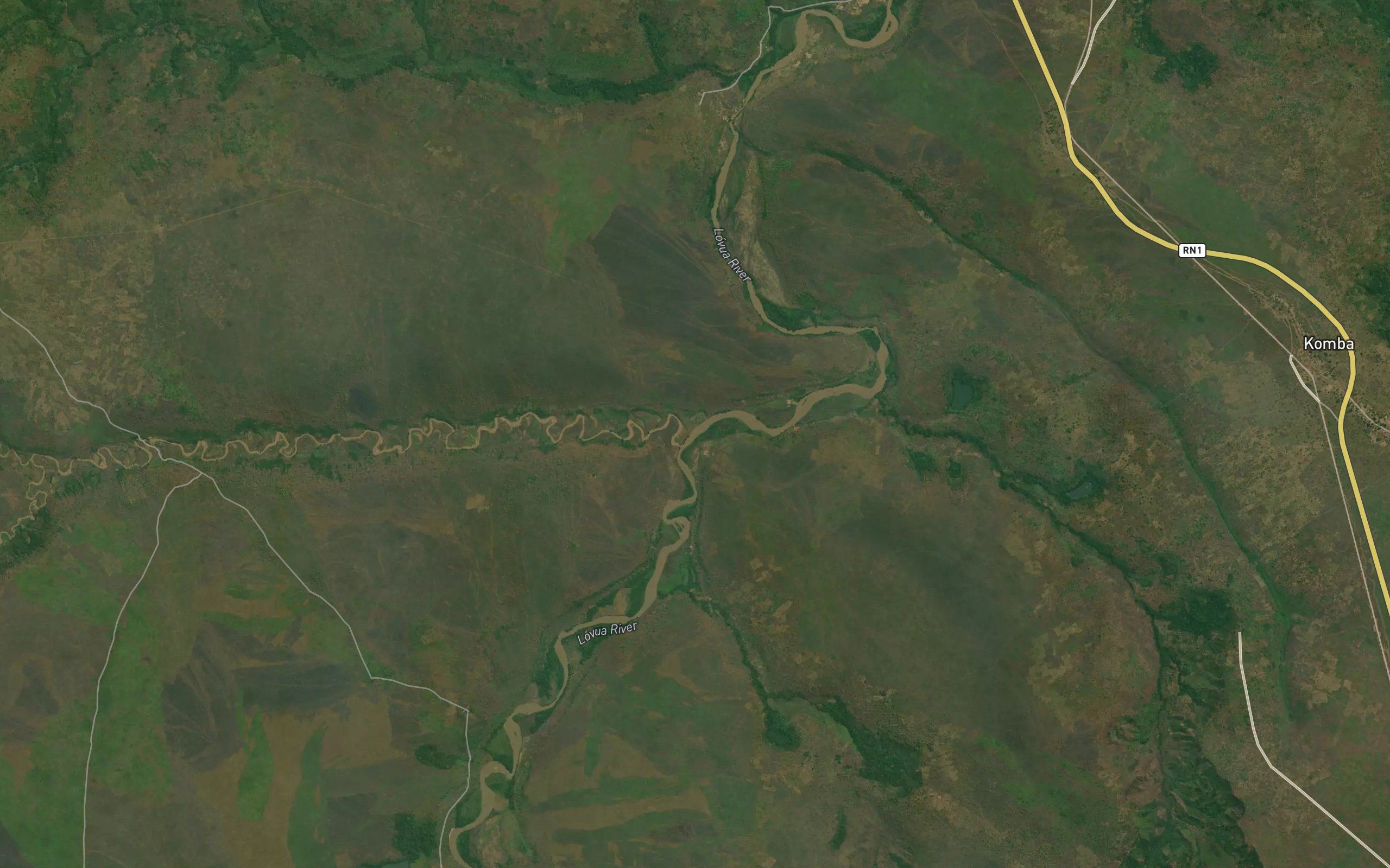 Musanza