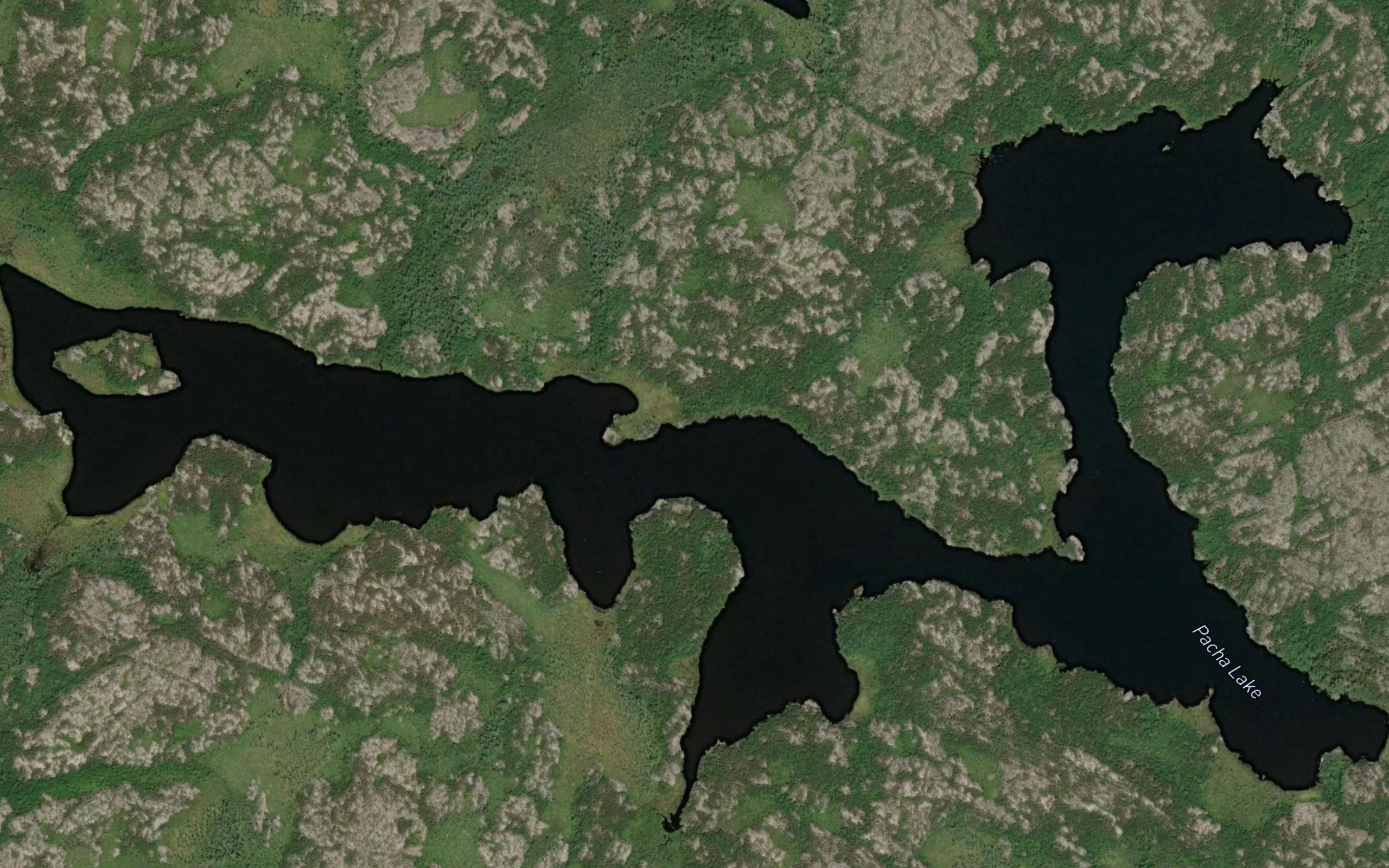 Pacha Lake