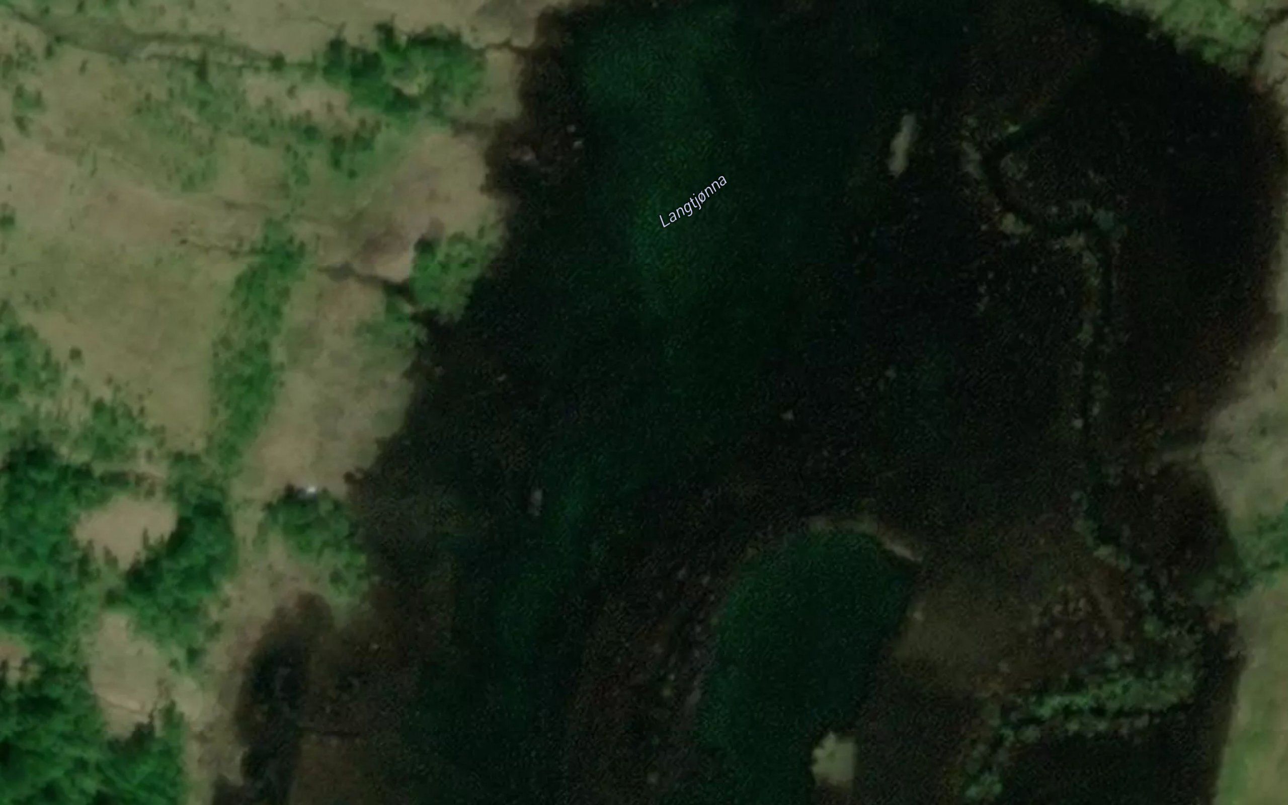 Langtjonna