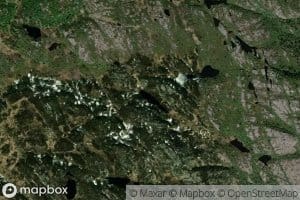 Lauvtjonn