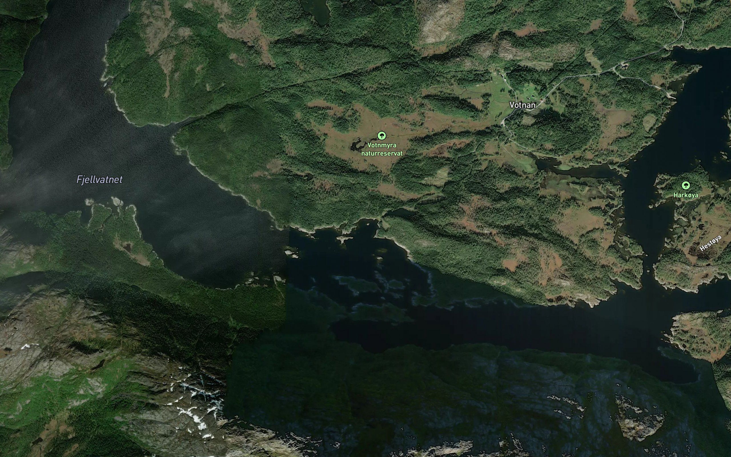 Hattvika