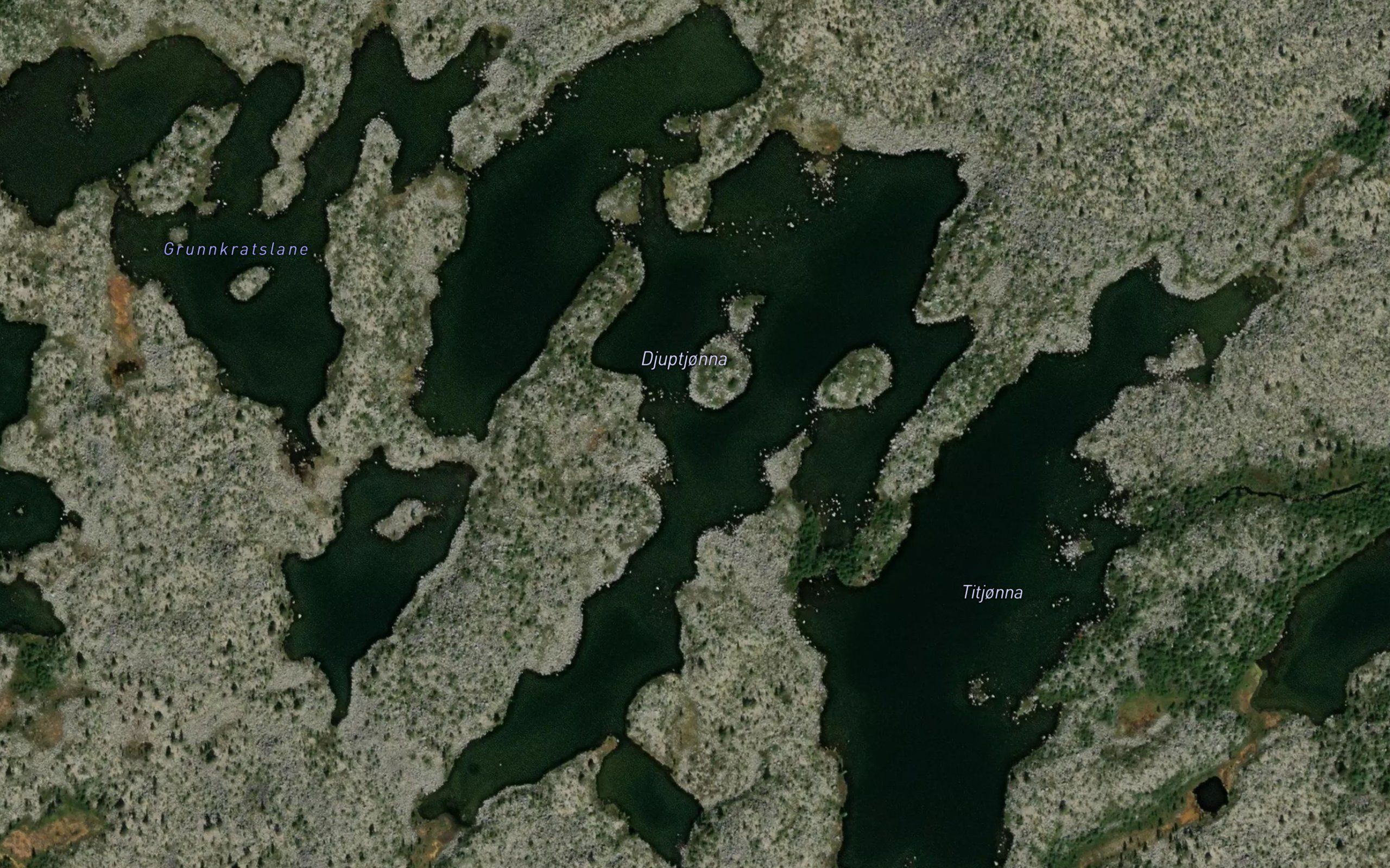 Langtjorna