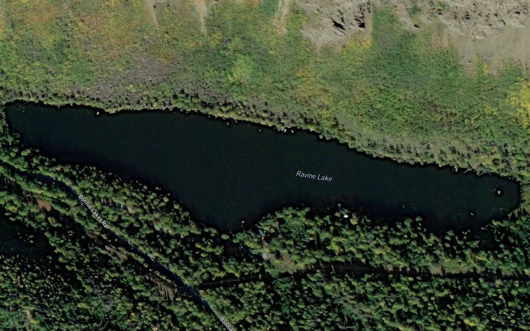 Satellite map of the Ravine Lake
