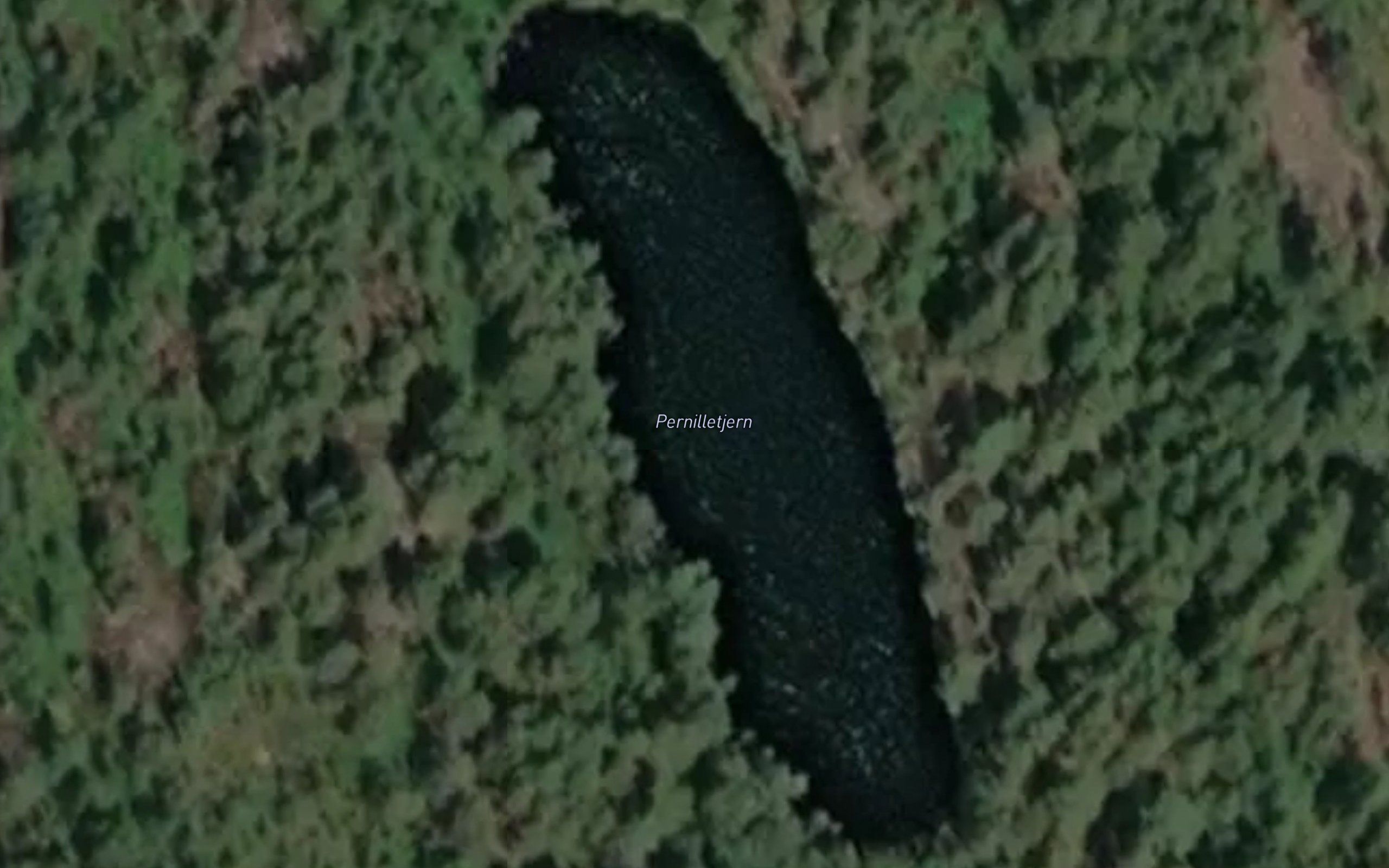 Pernilletjern