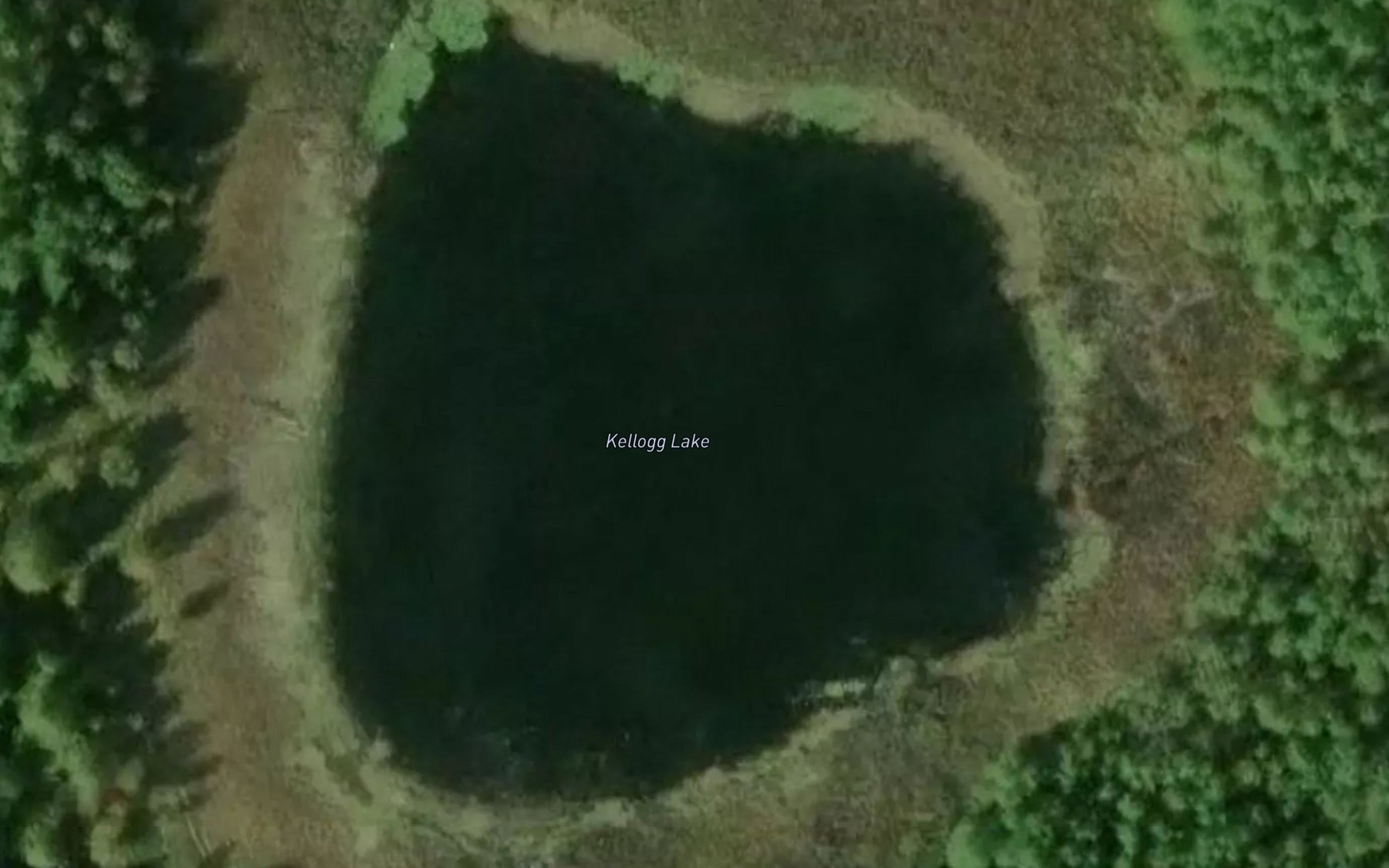 Satellite map of the Kellogg Lake