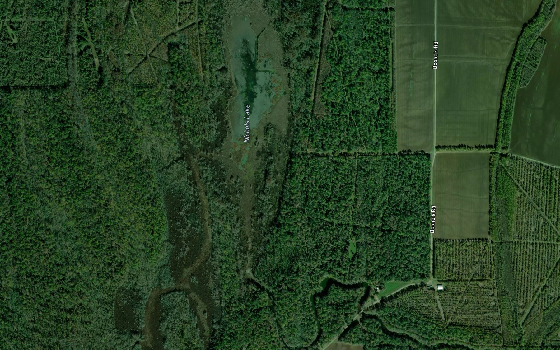 Satellite map of the Nichols Lake