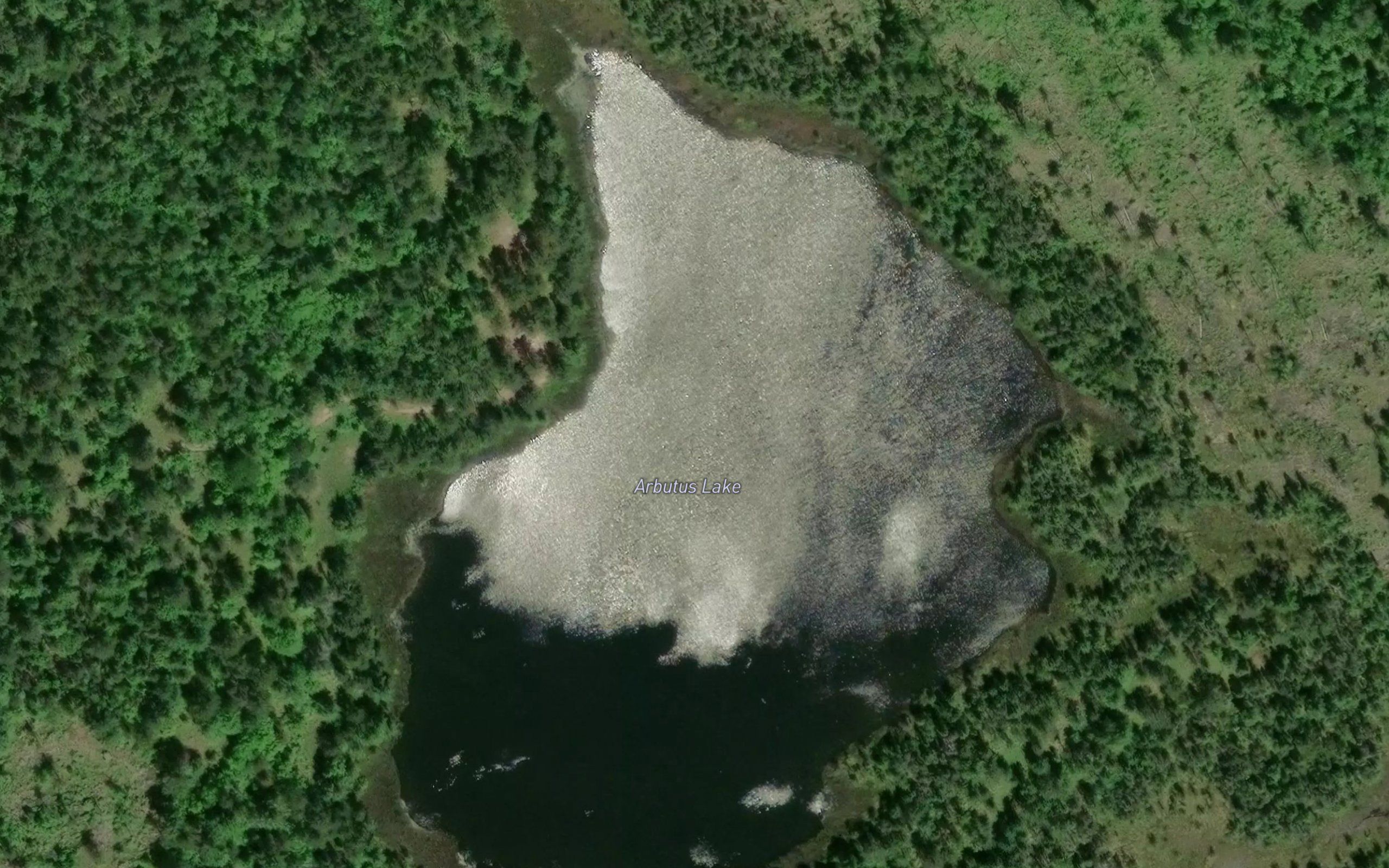 Arbutus Lake