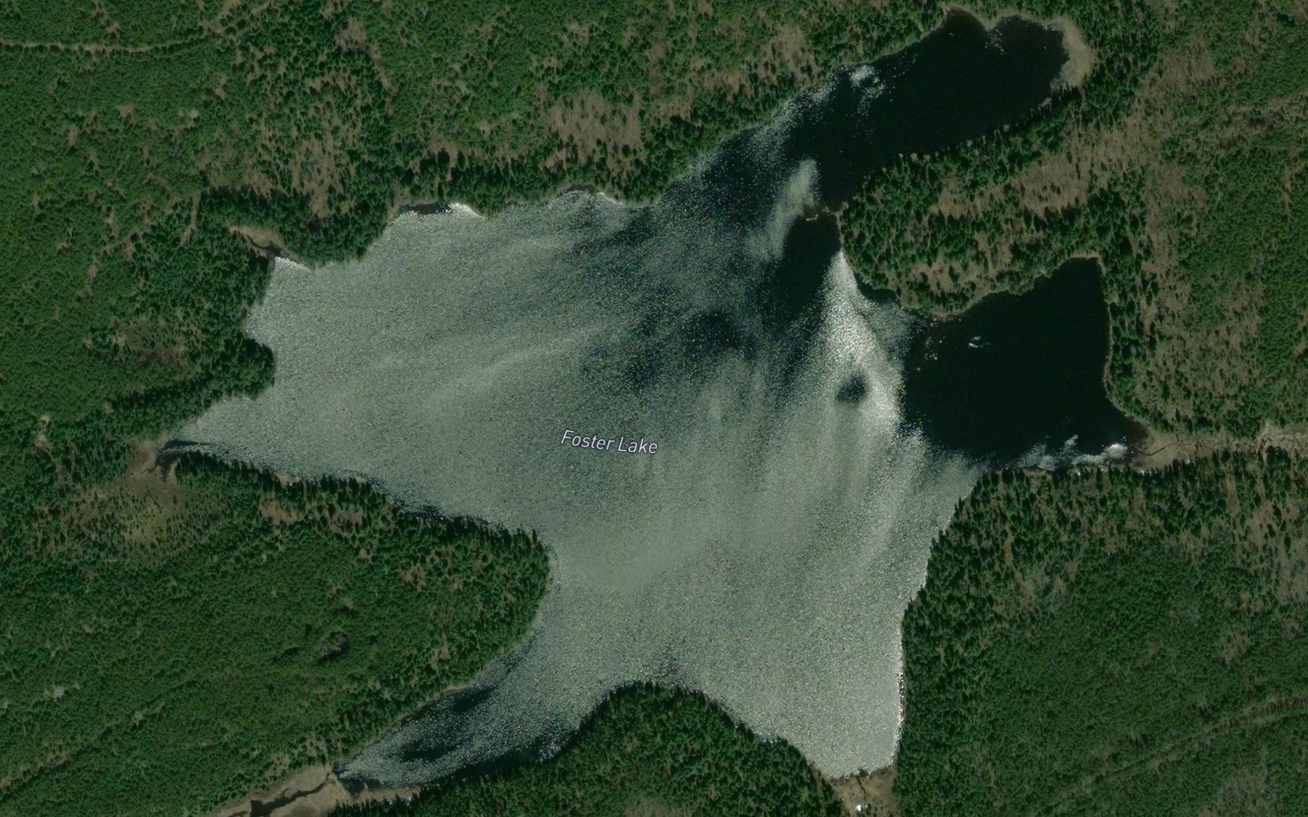 Foster Lake