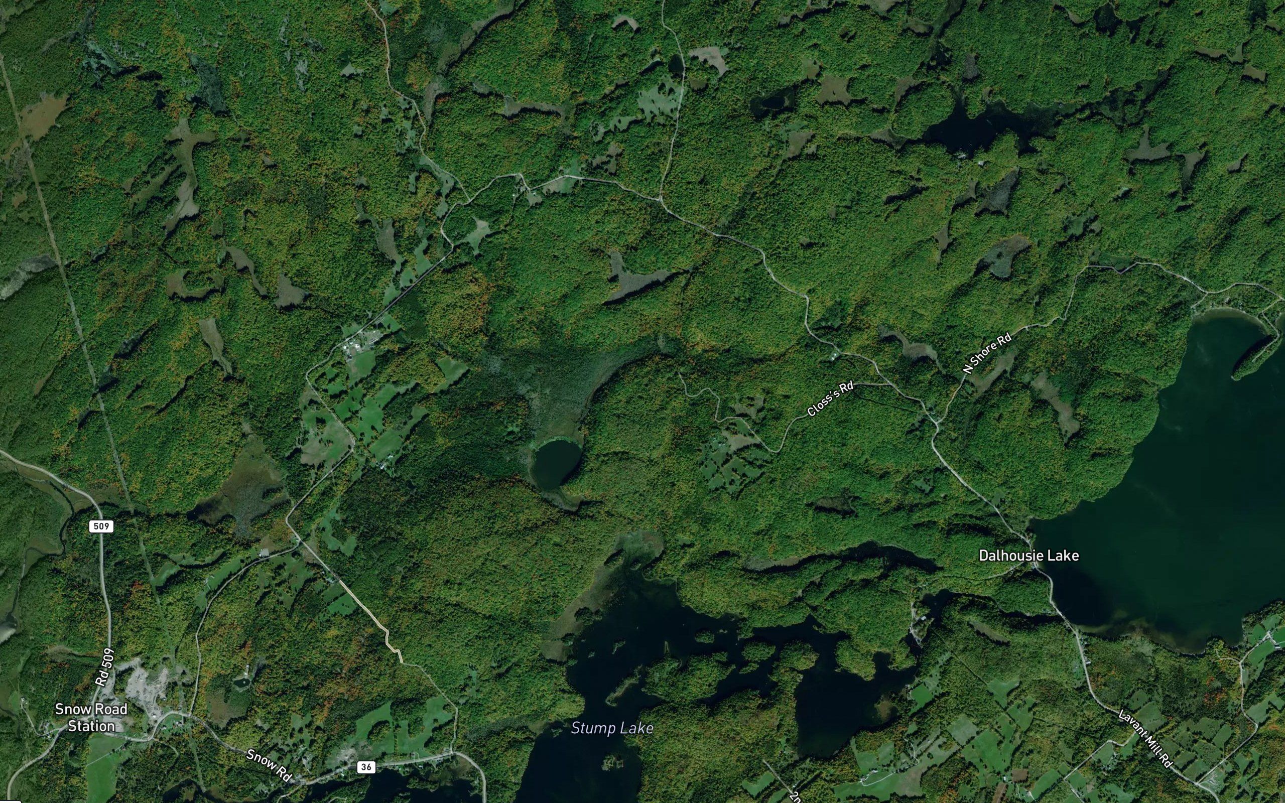 Mosquito Creek