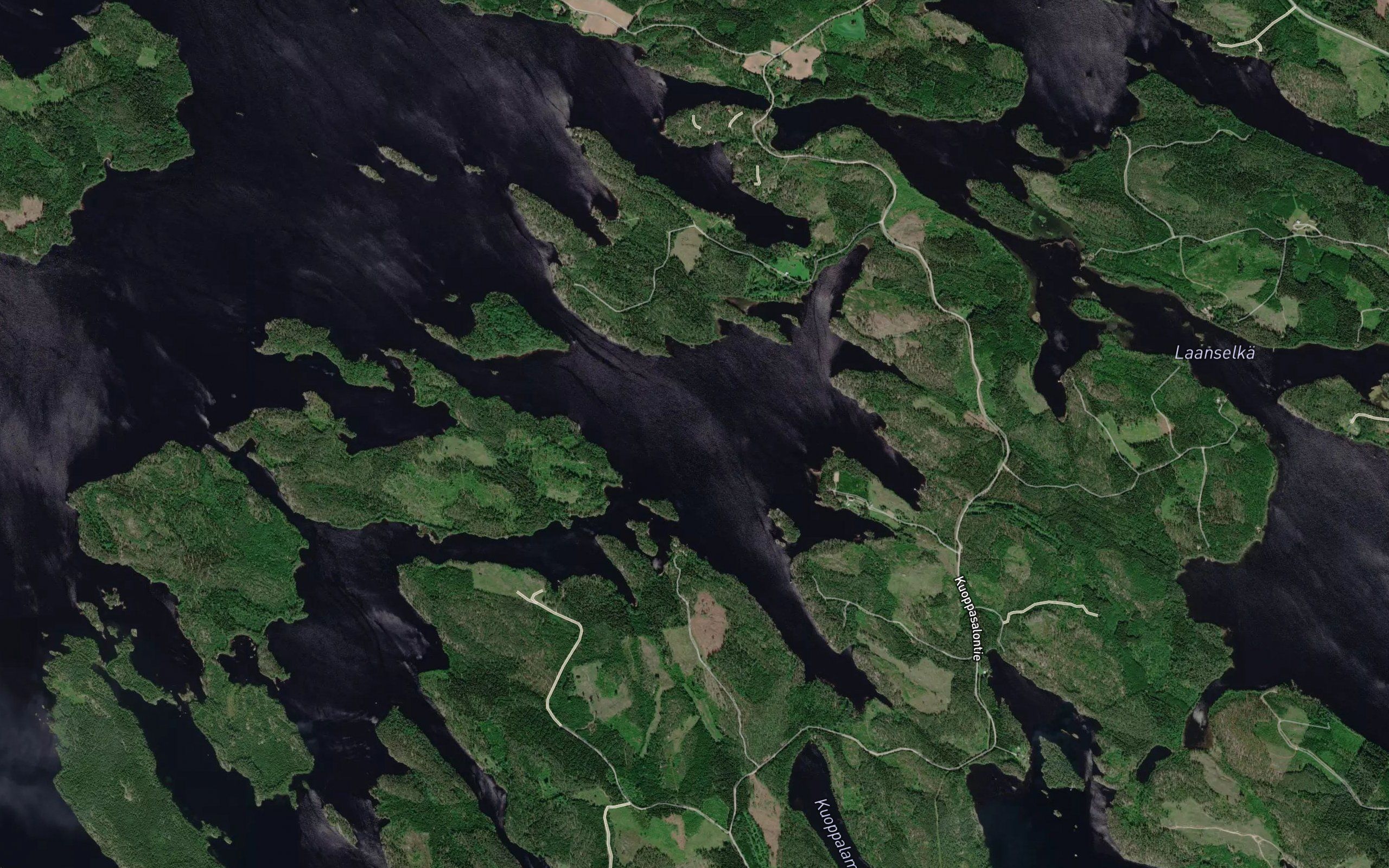 Laavusselka