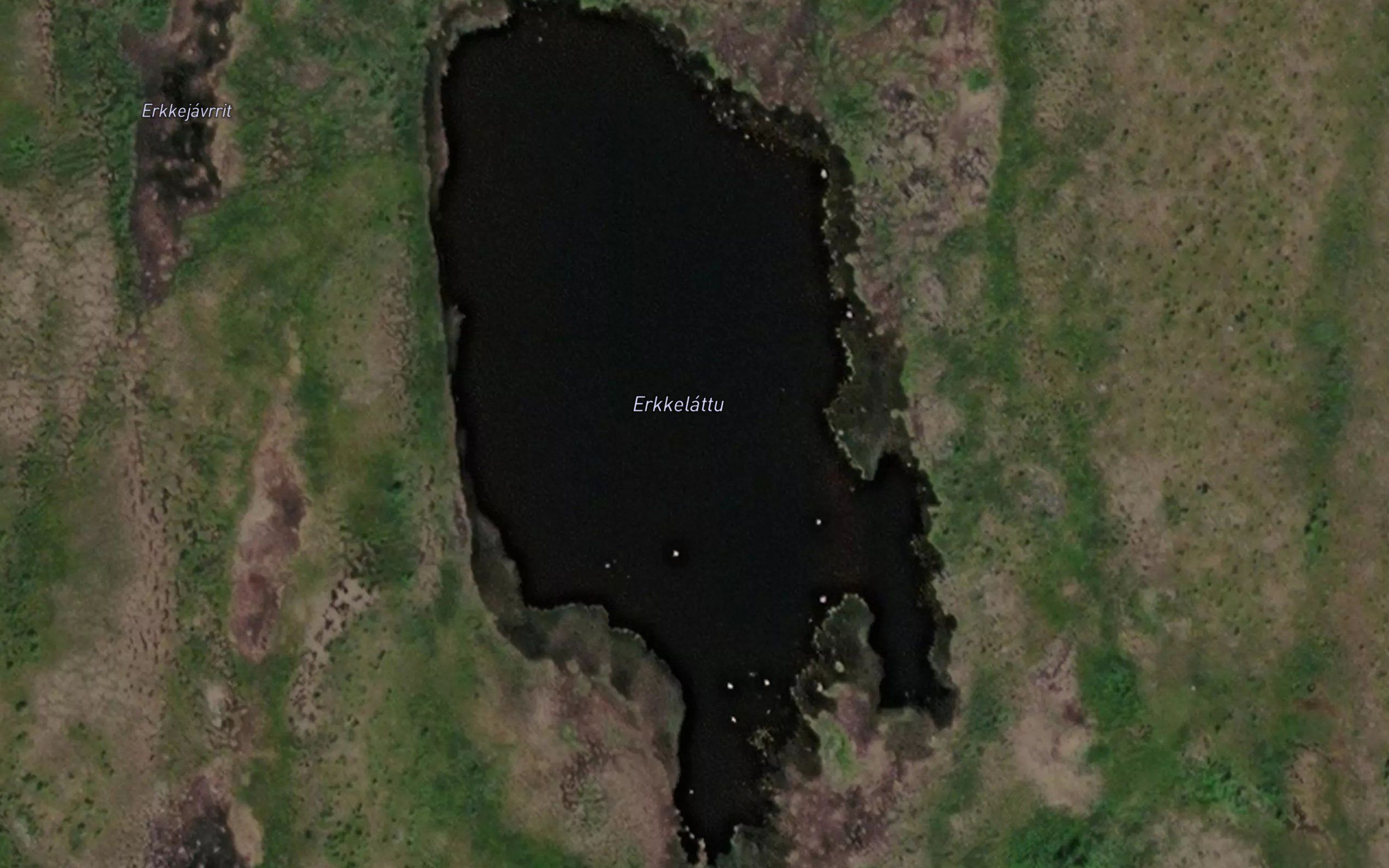 Erkkelattu