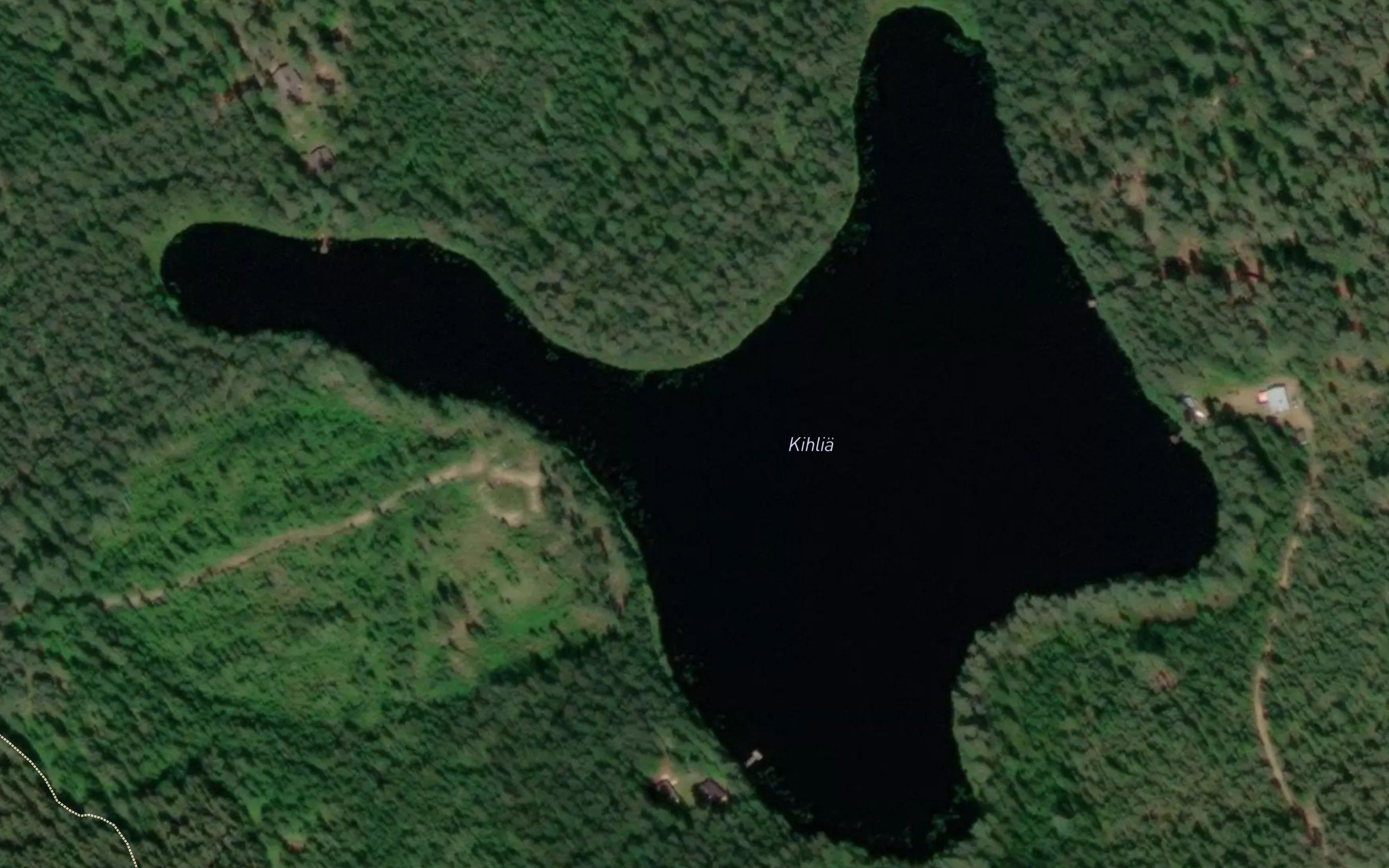 Kihlia
