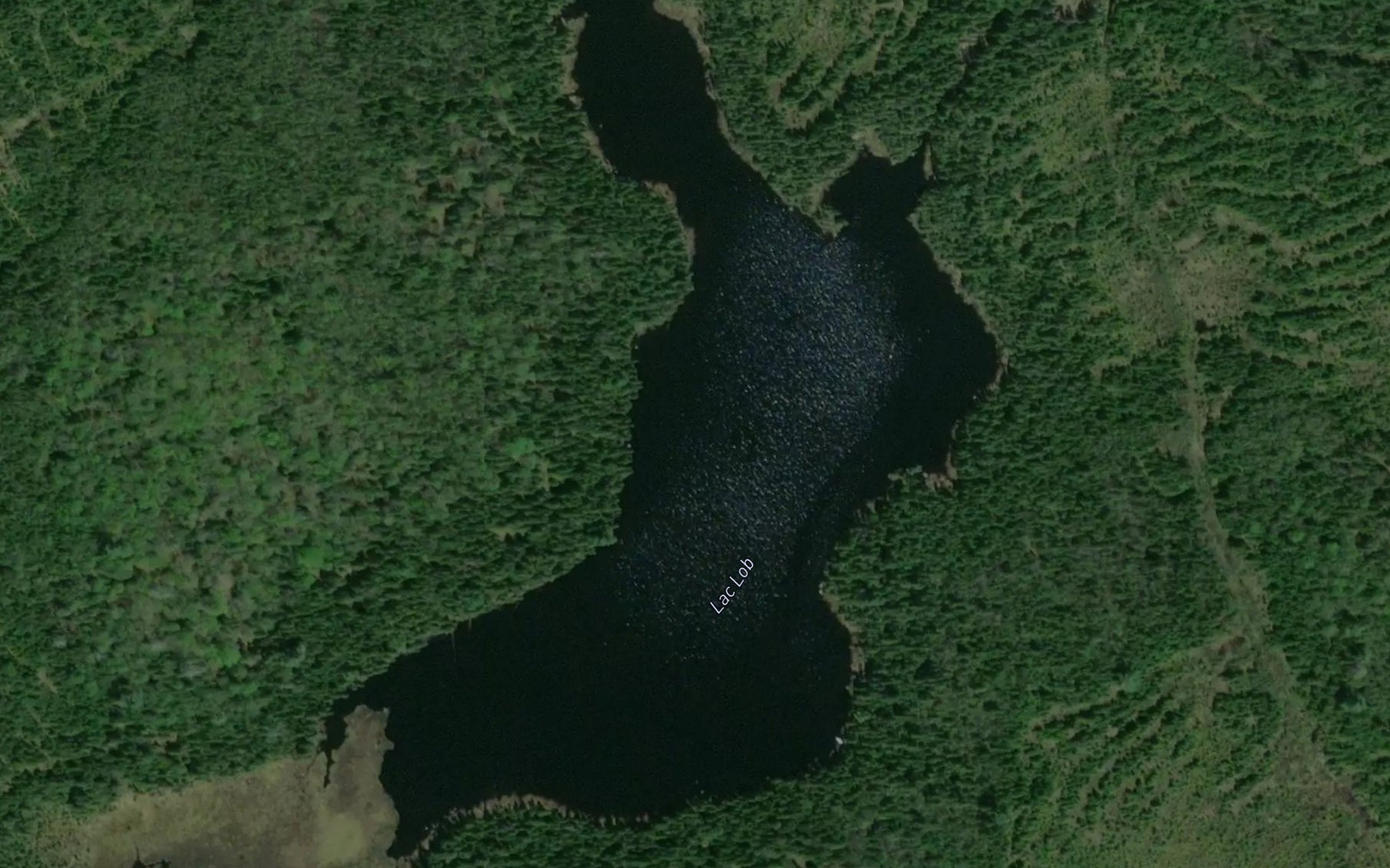 Satellite map of the Lac Lob