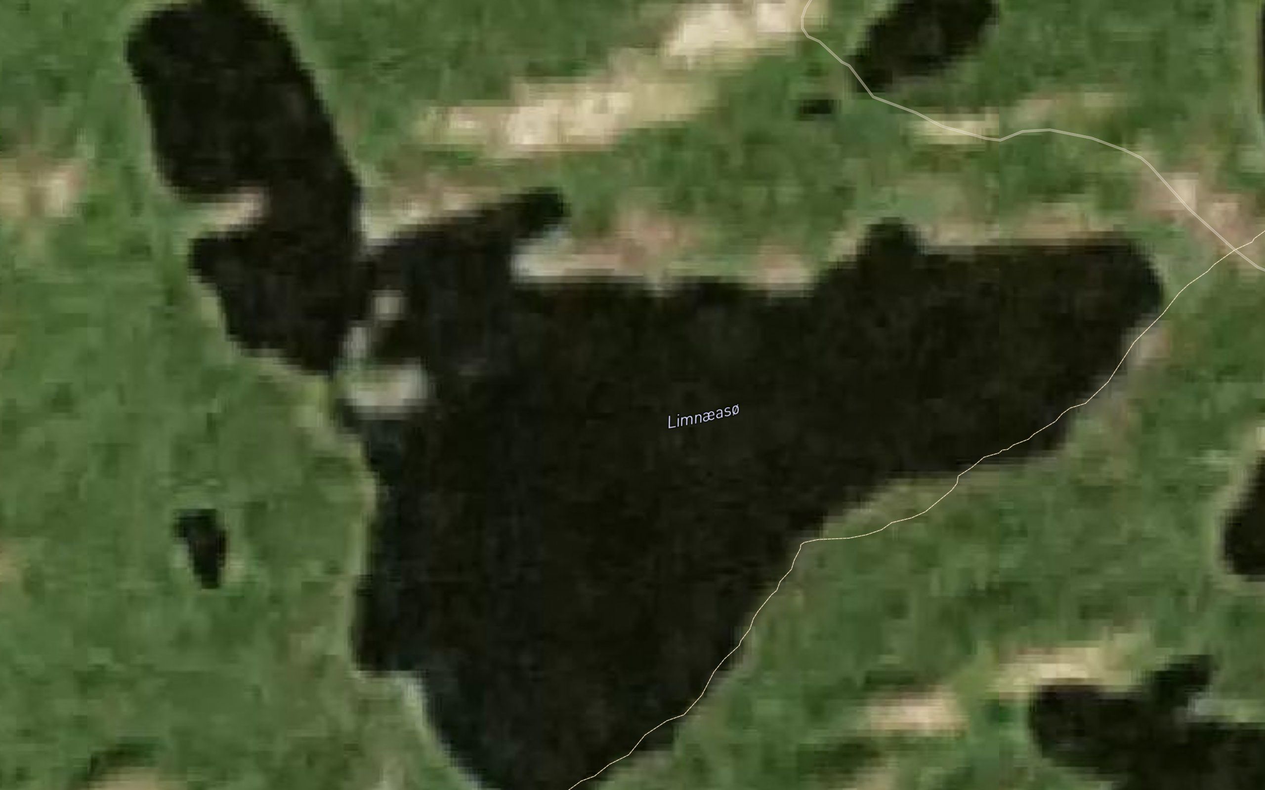 Limnaeaso