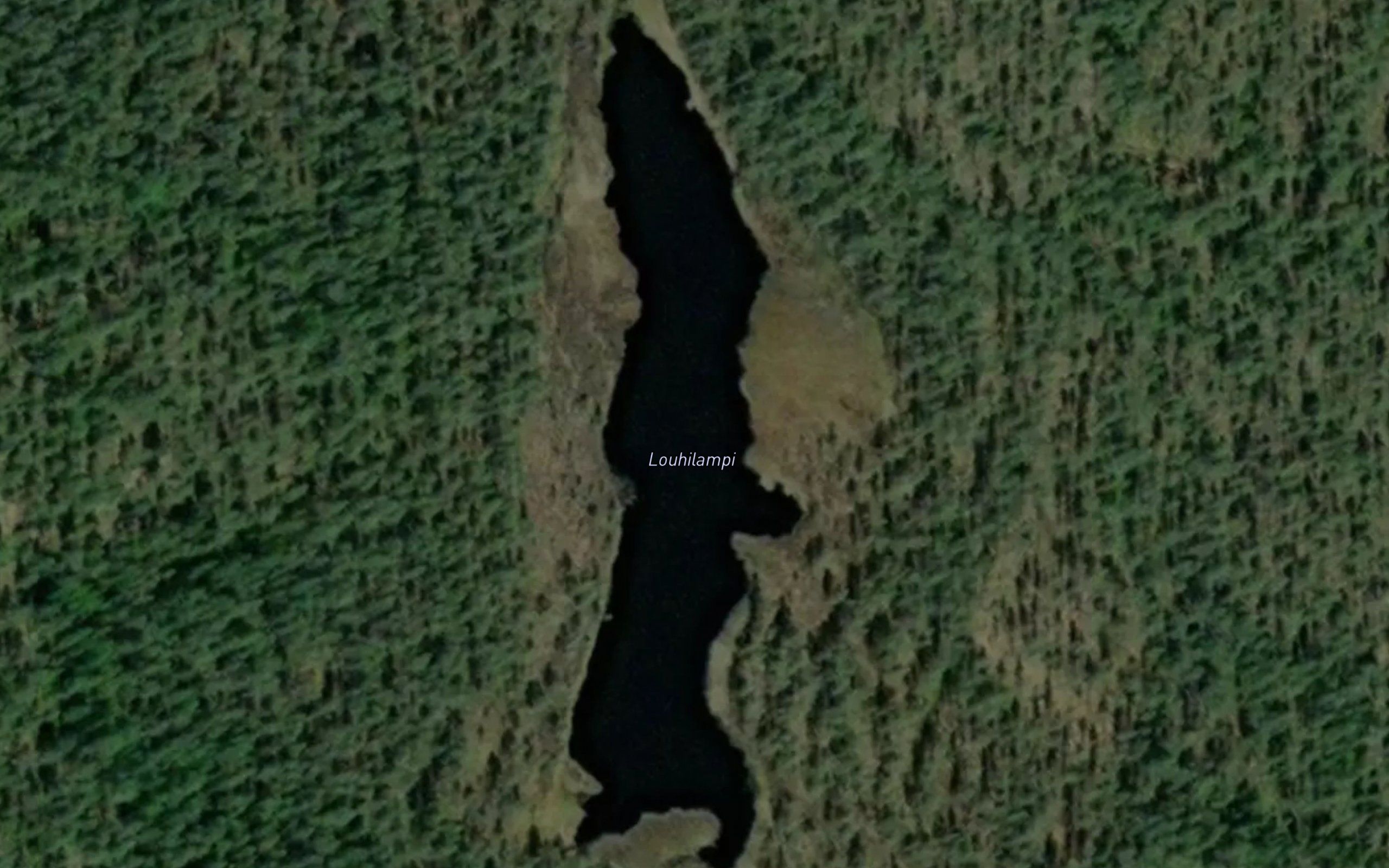 Louhilampi