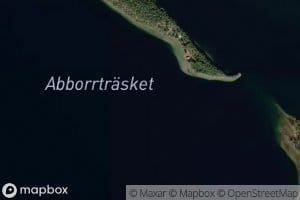 Abborrtrasket