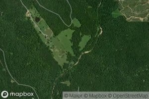 Whites Creek