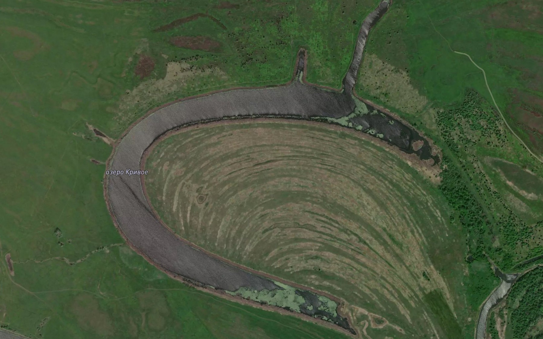 Satellite map of the Ozero Krivoye