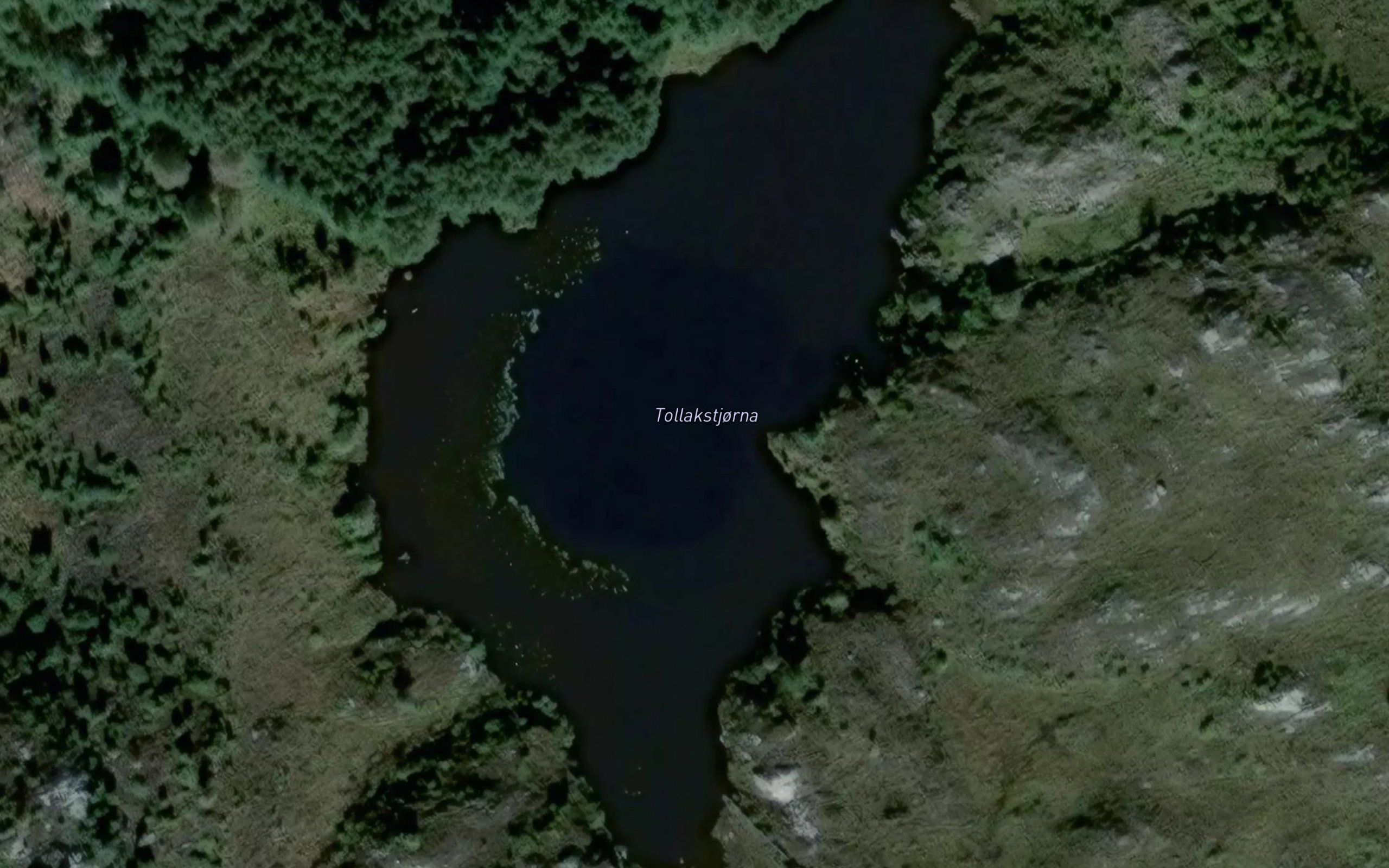 Tollakstjorna