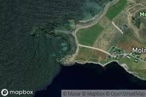 Naustavika
